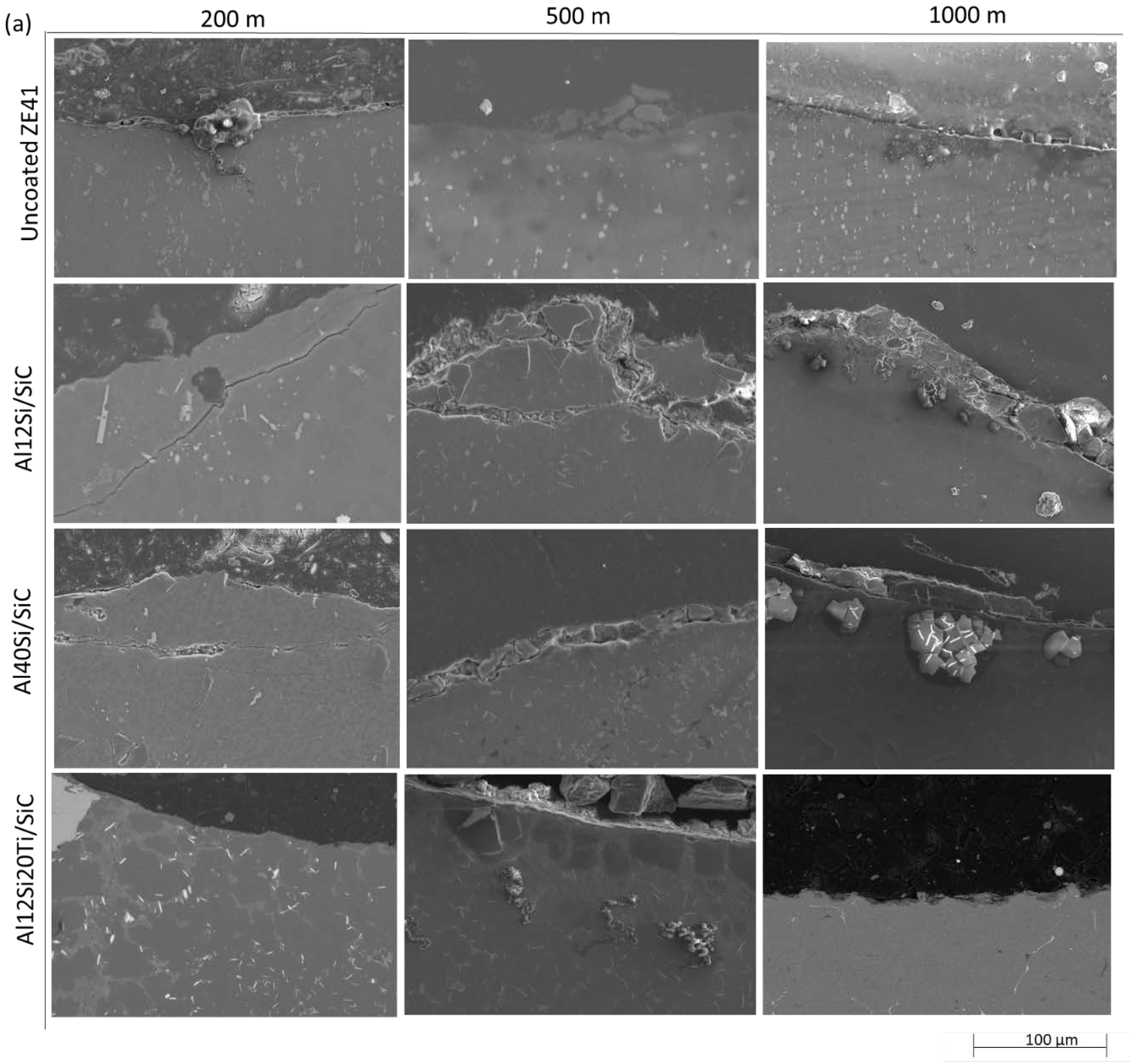 Coatings 11 00639 g005a