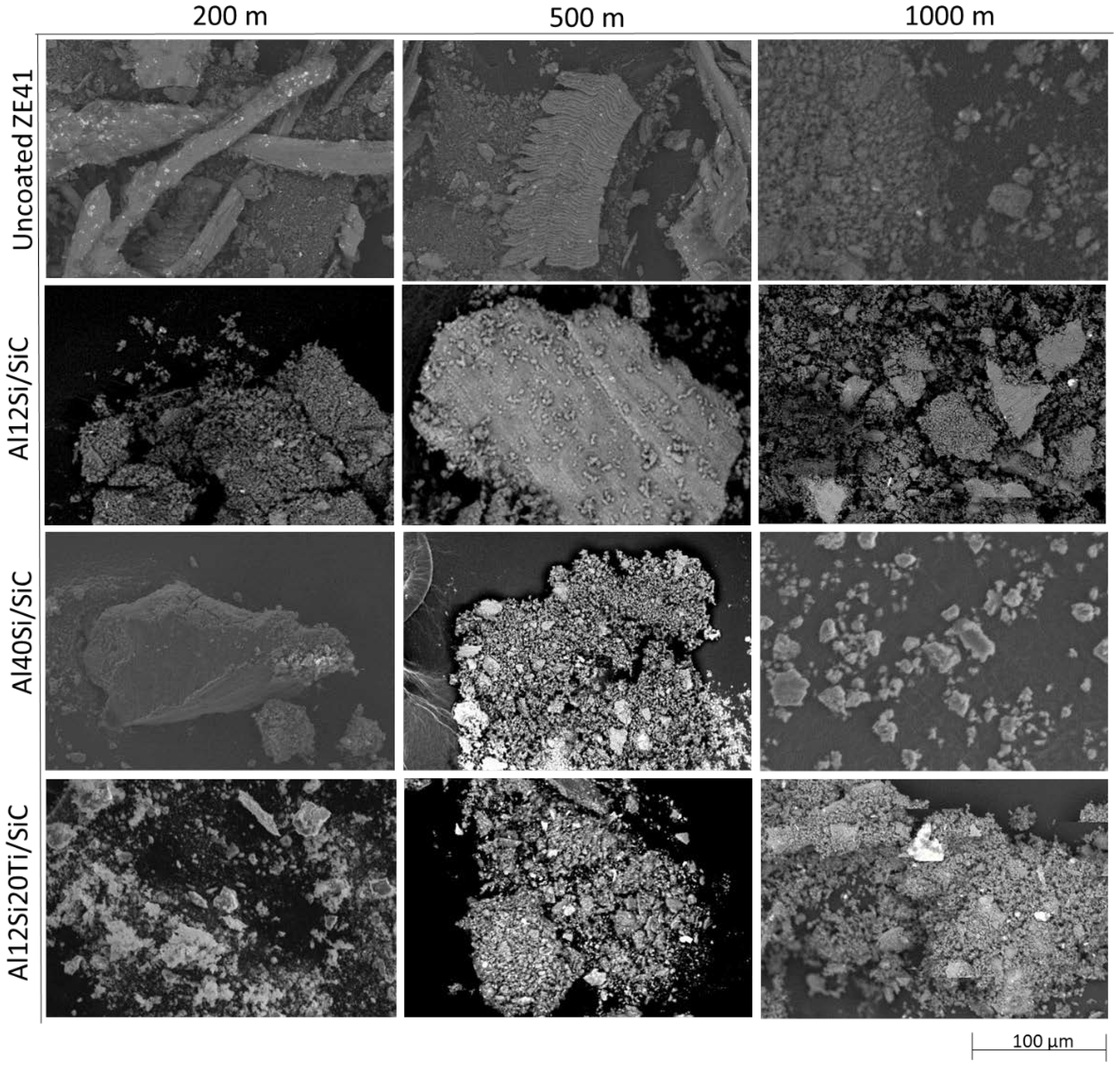 Coatings 11 00639 g006