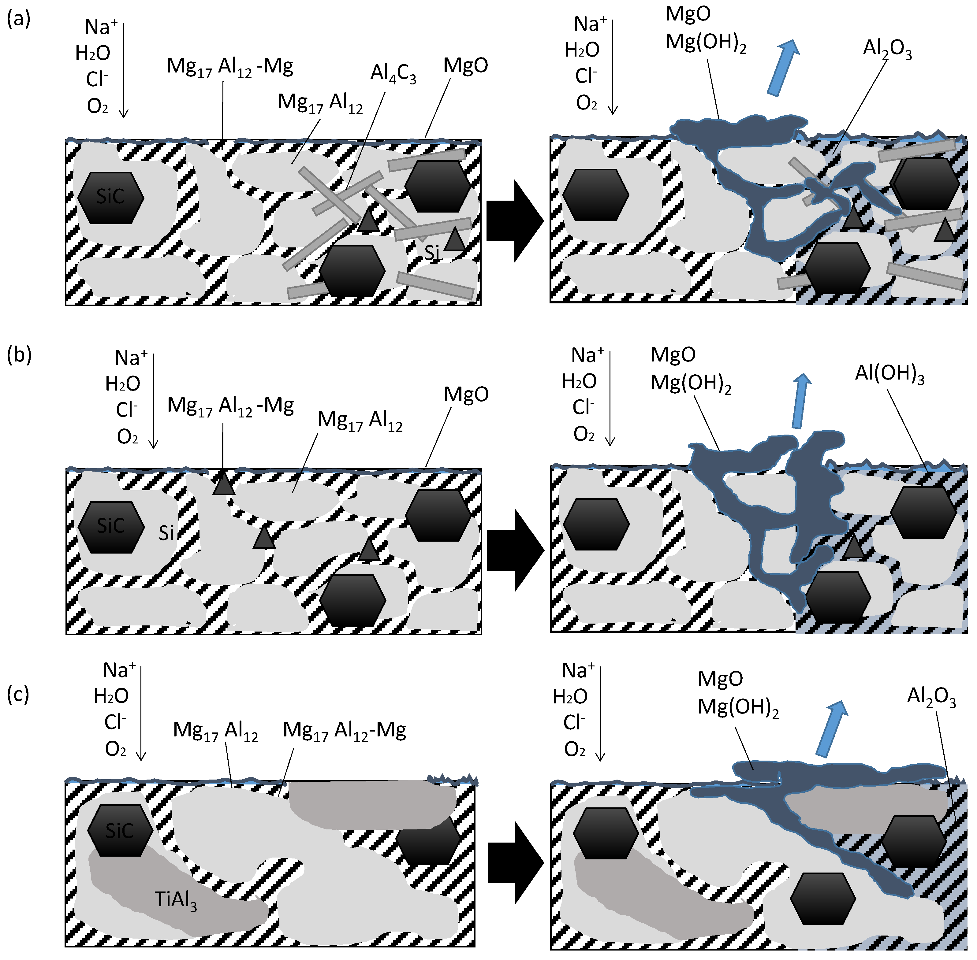 Coatings 11 00639 g012