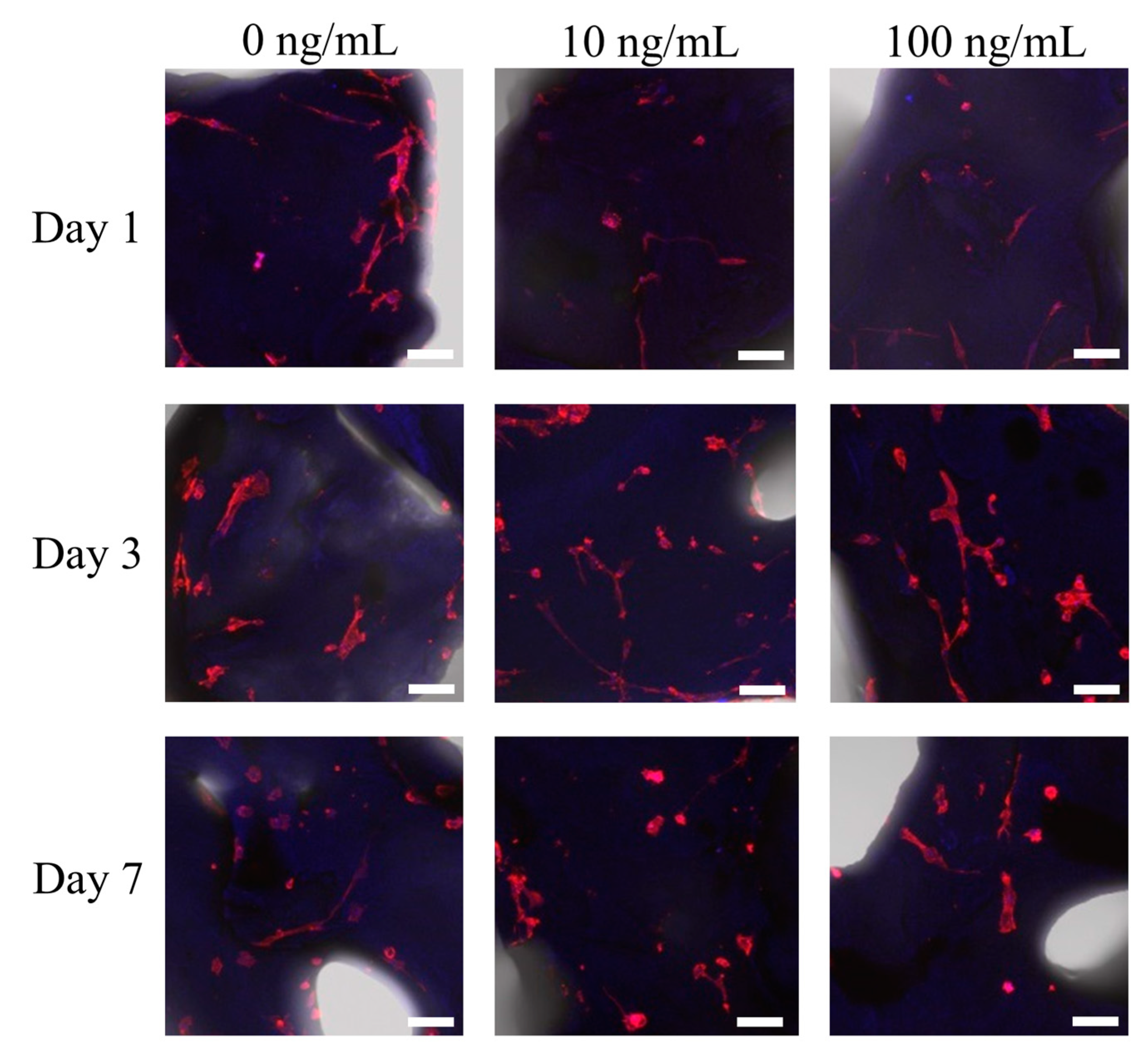 Coatings 11 00642 g001 Coatings 11 00642 g001
