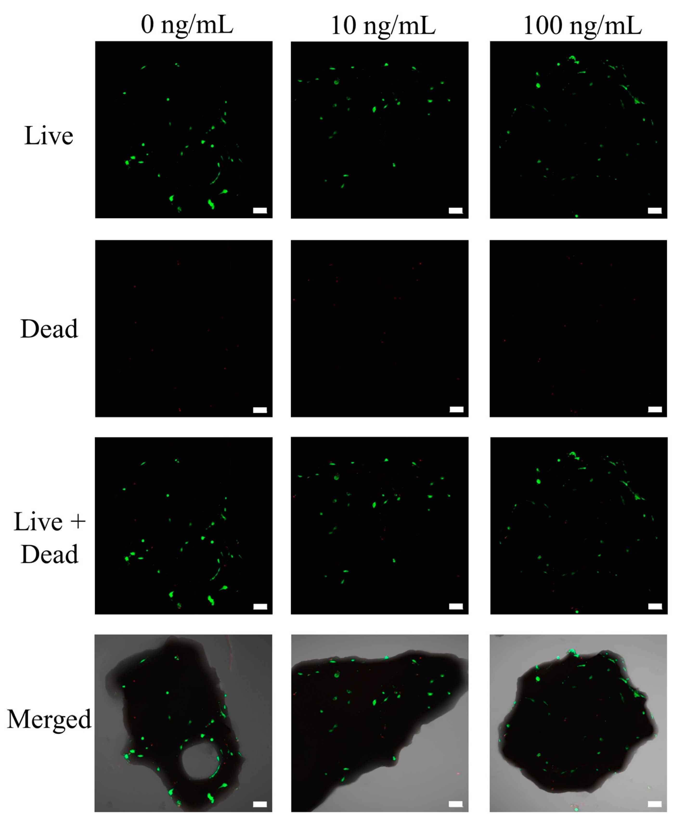 Coatings 11 00642 g002 Coatings 11 00642 g002