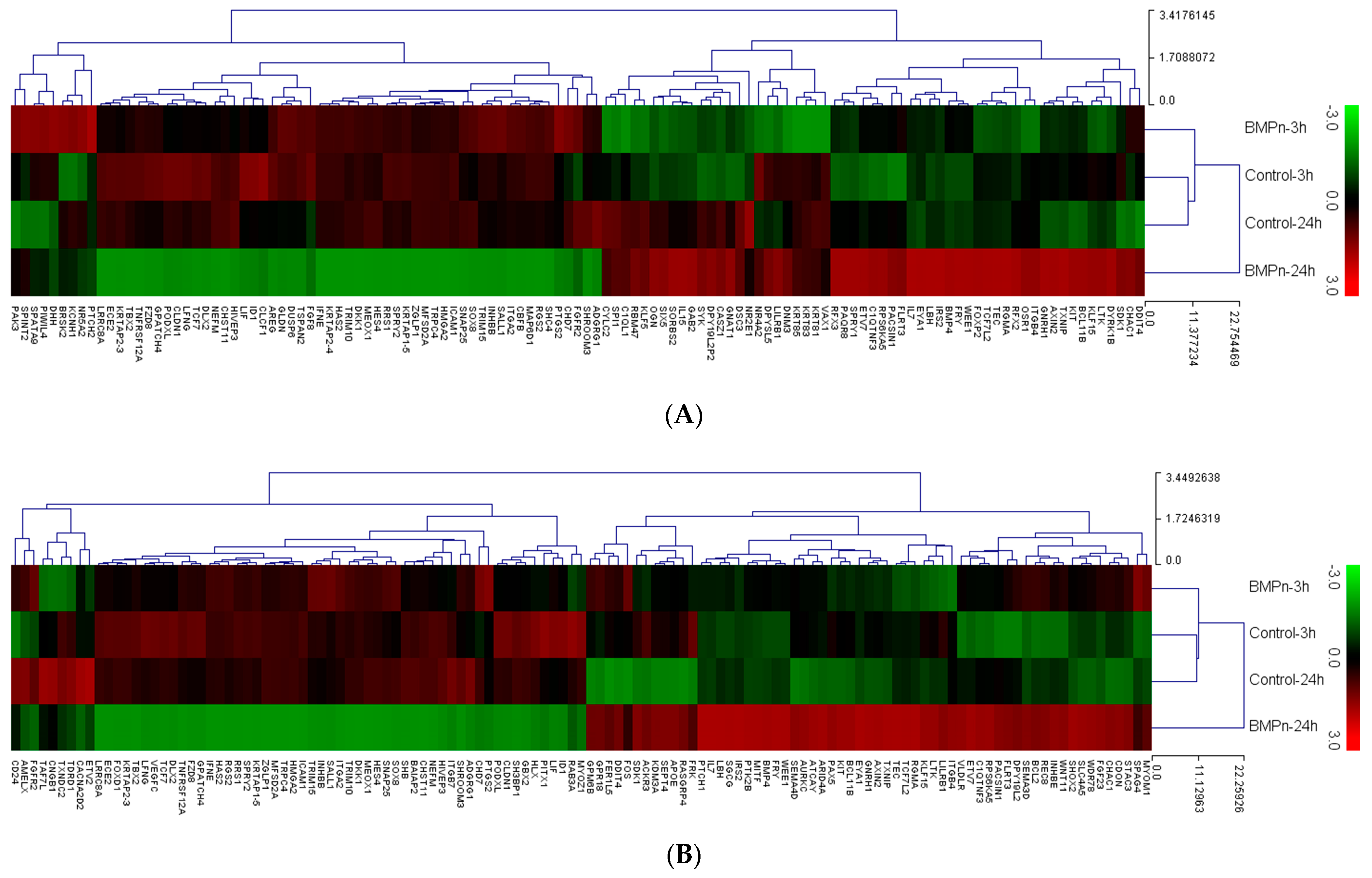 Coatings 11 00642 g005 Coatings 11 00642 g005