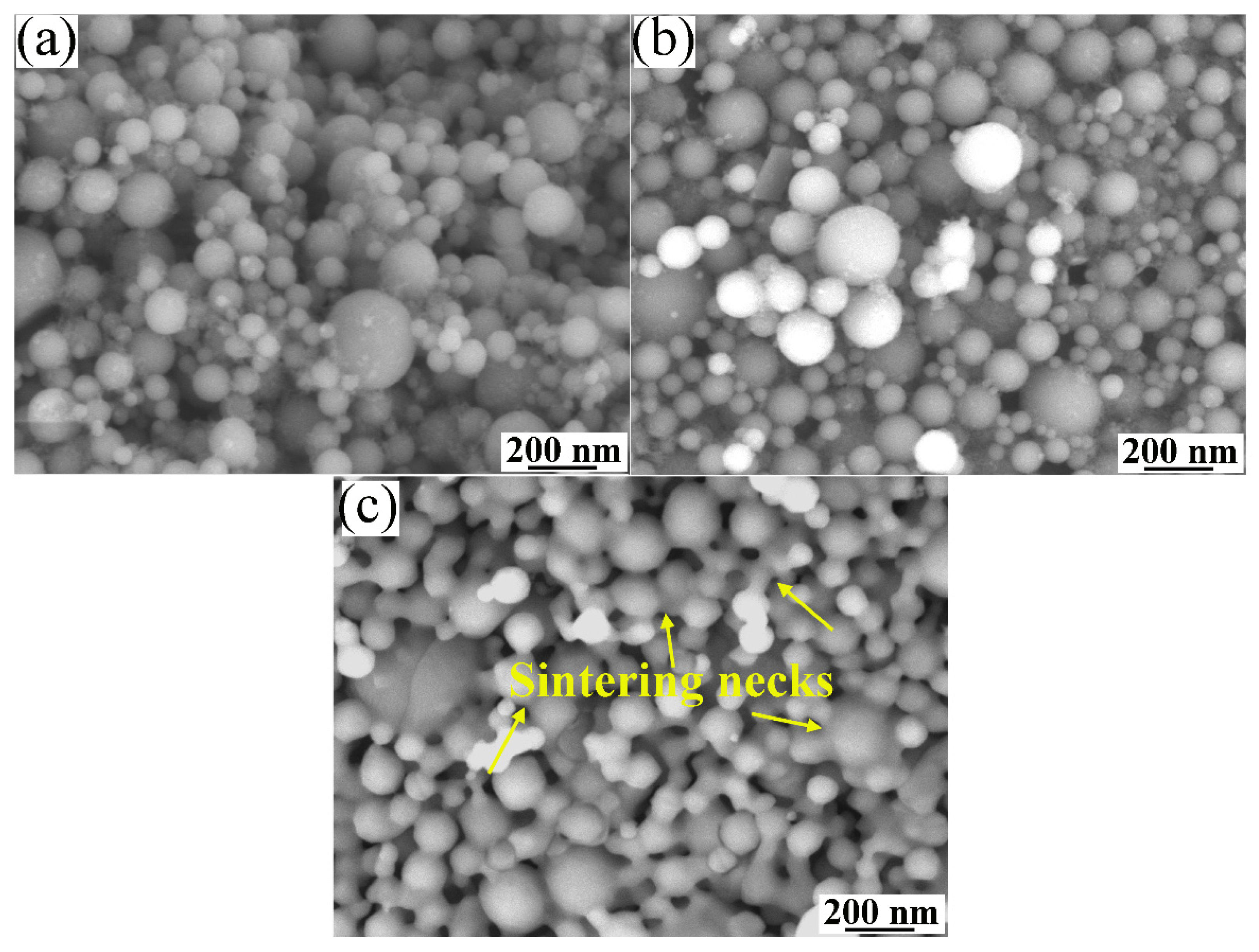 Coatings 11 00643 g003 Coatings 11 00643 g003