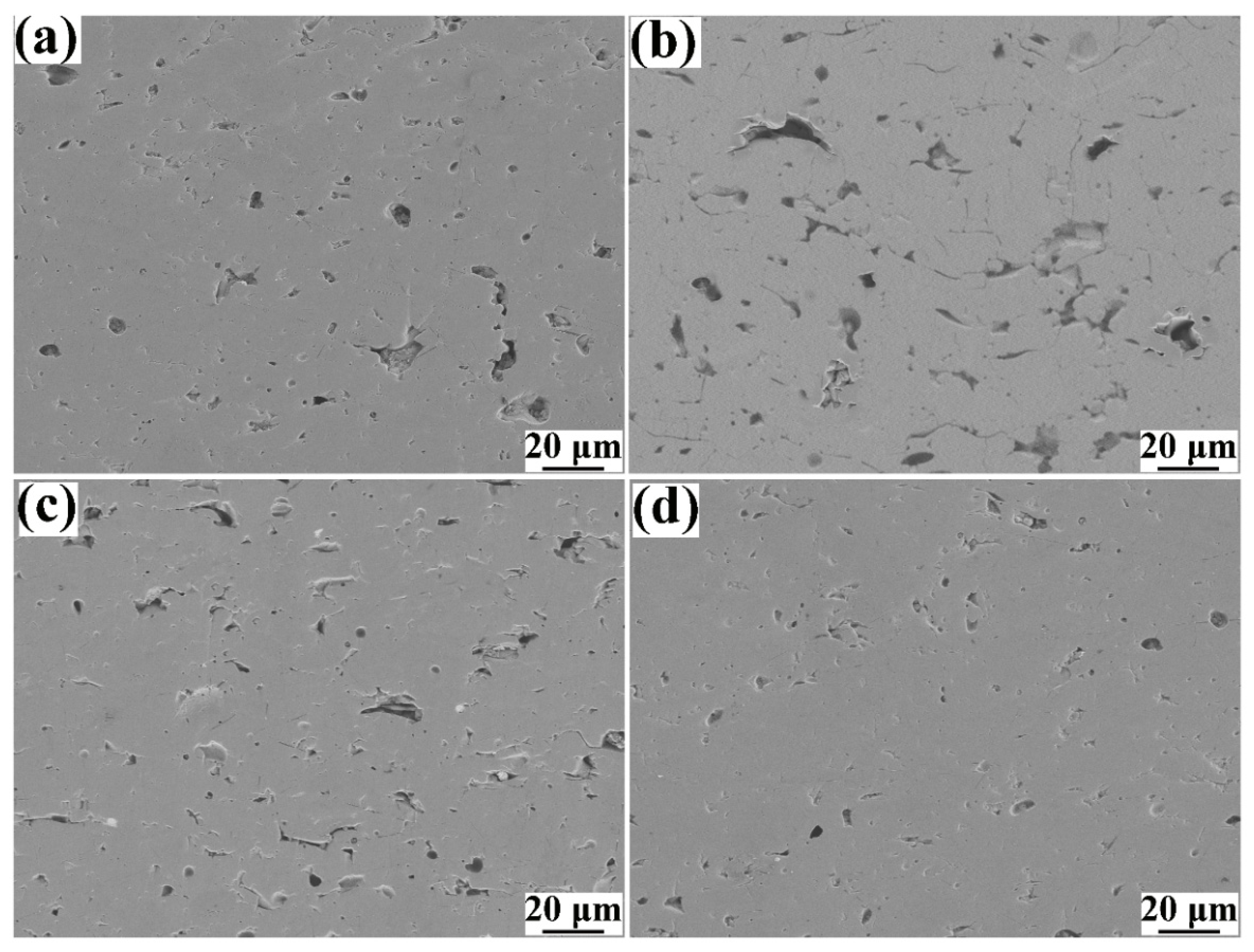 Coatings 11 00643 g005 Coatings 11 00643 g005