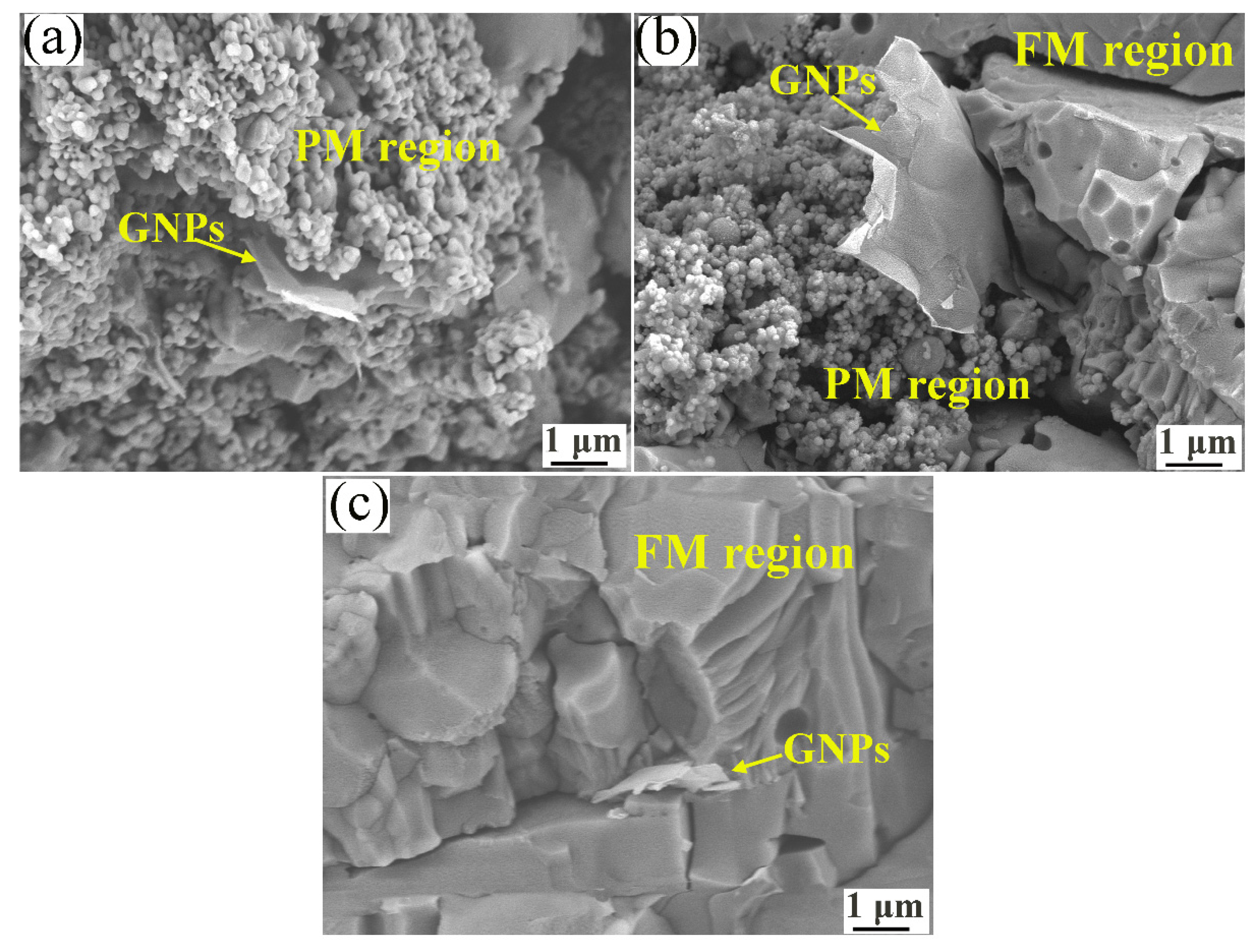 Coatings 11 00643 g007 Coatings 11 00643 g007