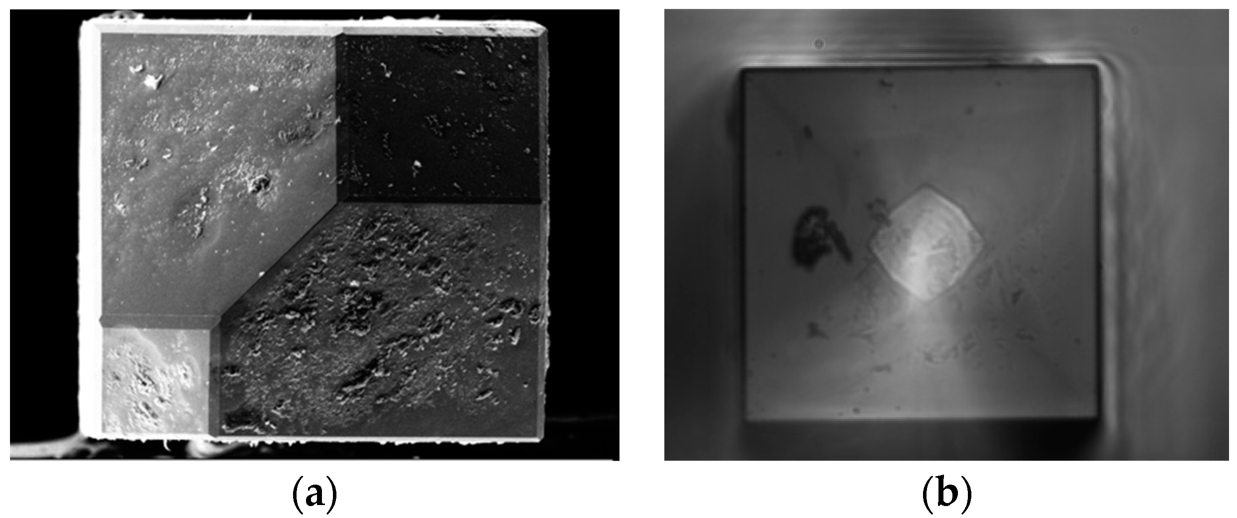 Coatings 11 00644 g004 Coatings 11 00644 g004