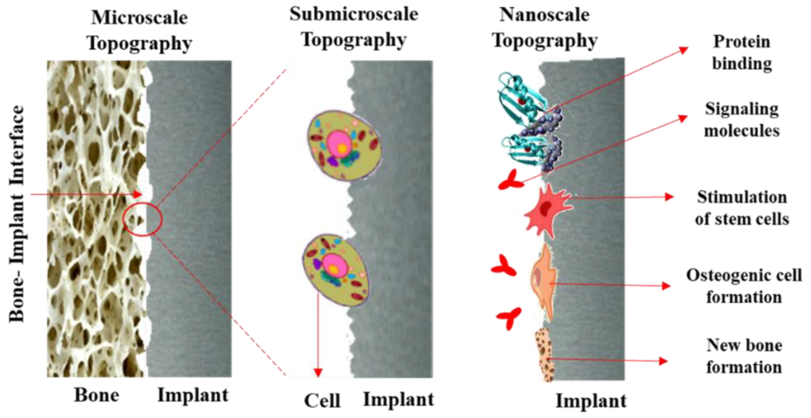 Coatings 11 00647 g002 Coatings 11 00647 g002