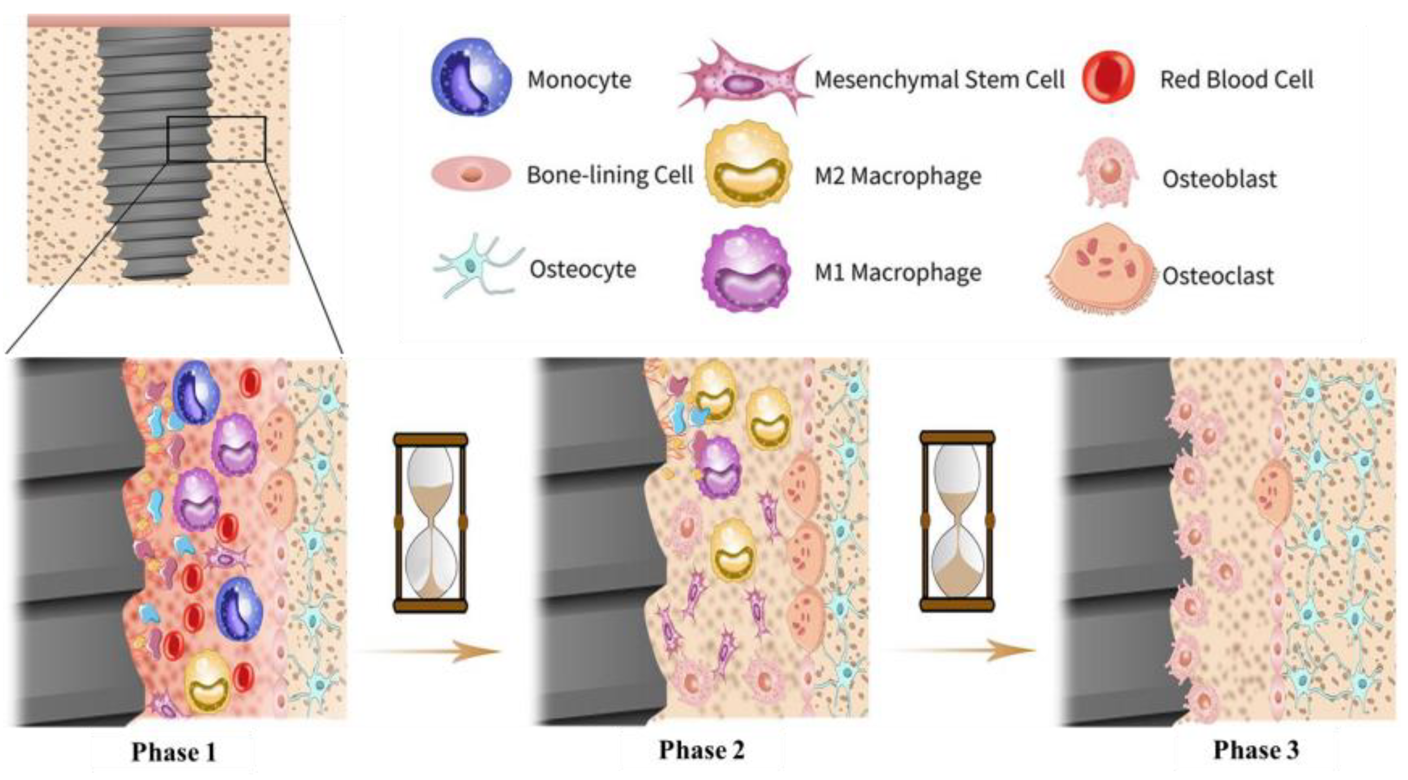 Coatings 11 00647 g004 Coatings 11 00647 g004