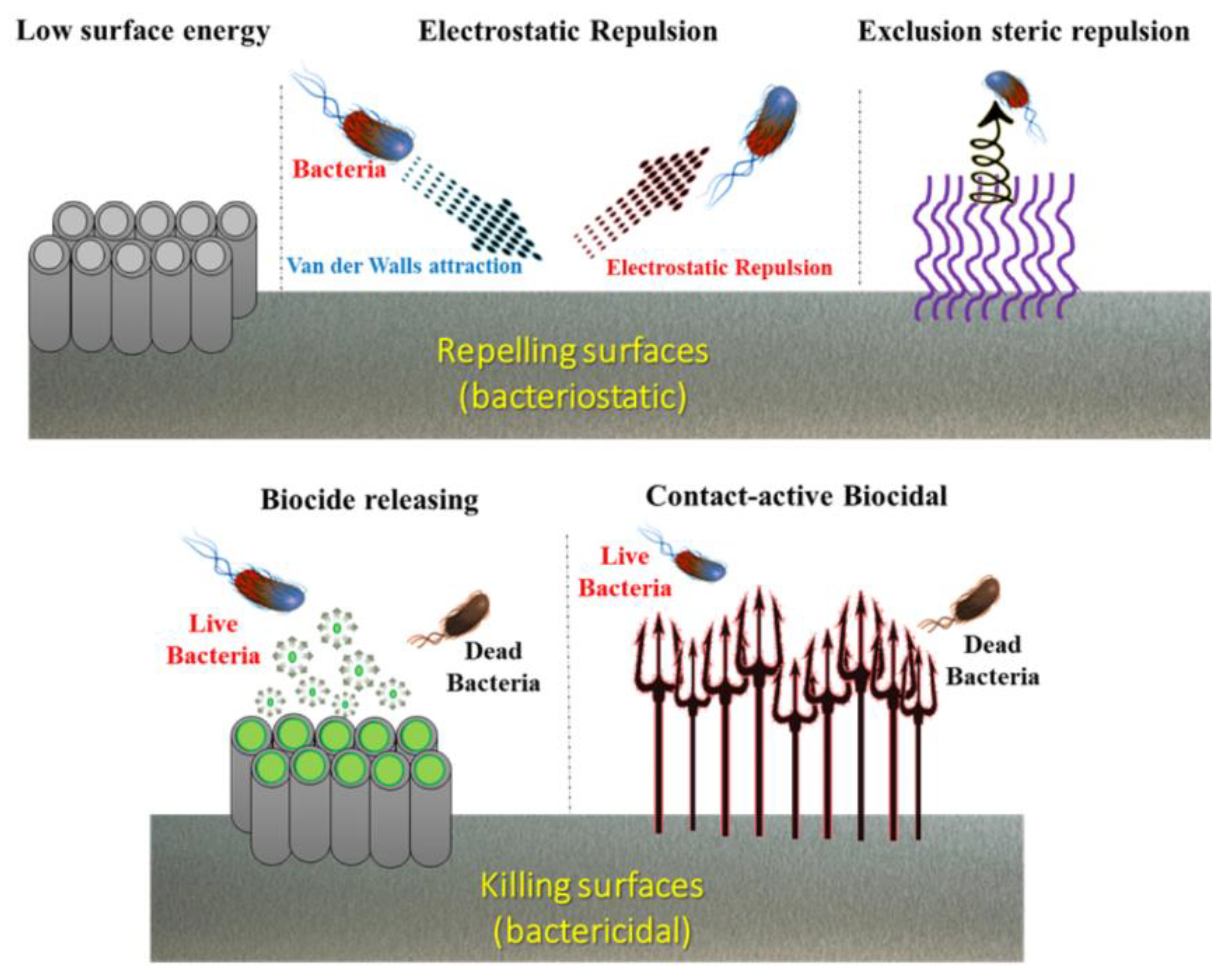 Coatings 11 00647 g005 Coatings 11 00647 g005