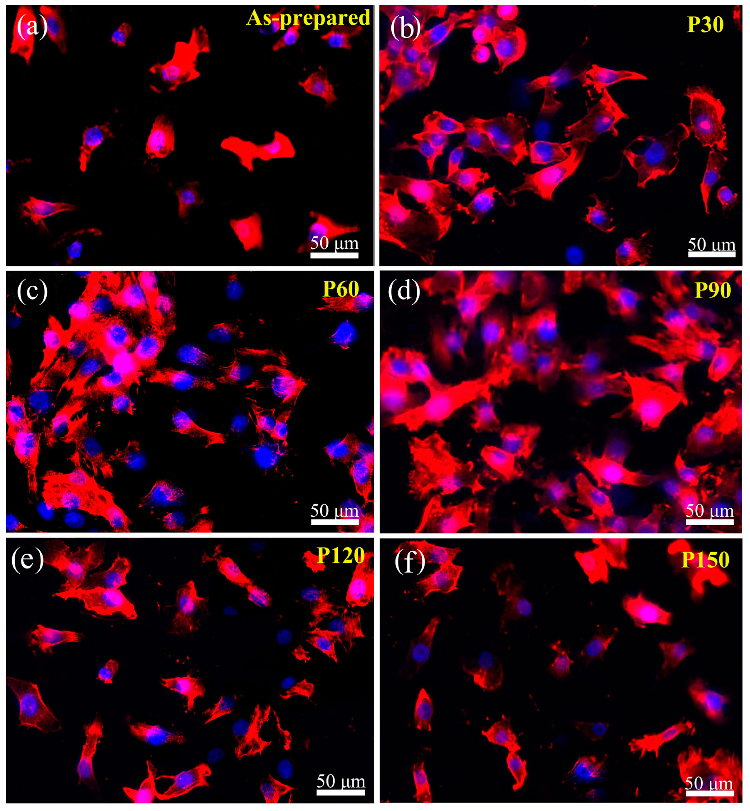 Coatings 11 00647 g006 Coatings 11 00647 g006