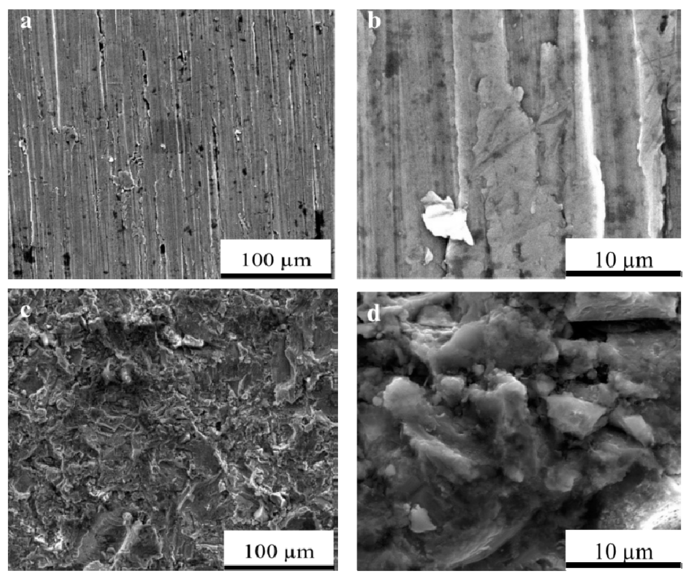 Coatings 11 00647 g007 Coatings 11 00647 g007
