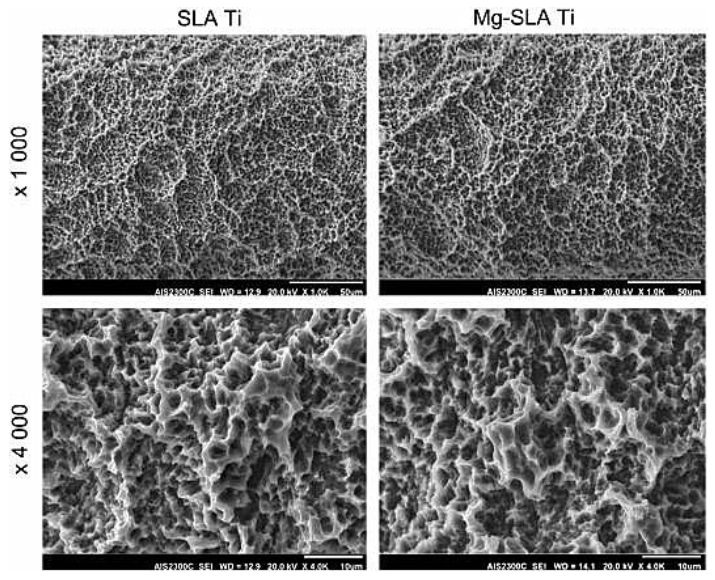 Coatings 11 00647 g011 Coatings 11 00647 g011