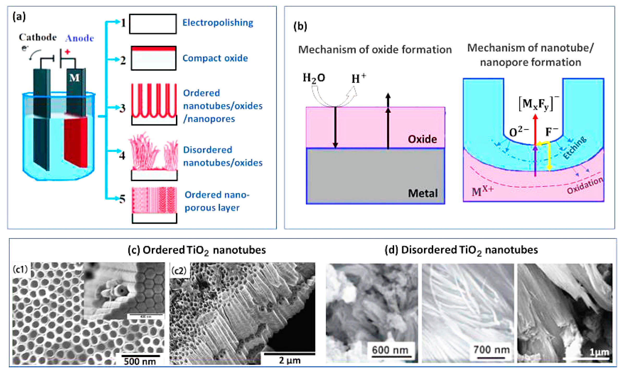 Coatings 11 00647 g013 Coatings 11 00647 g013