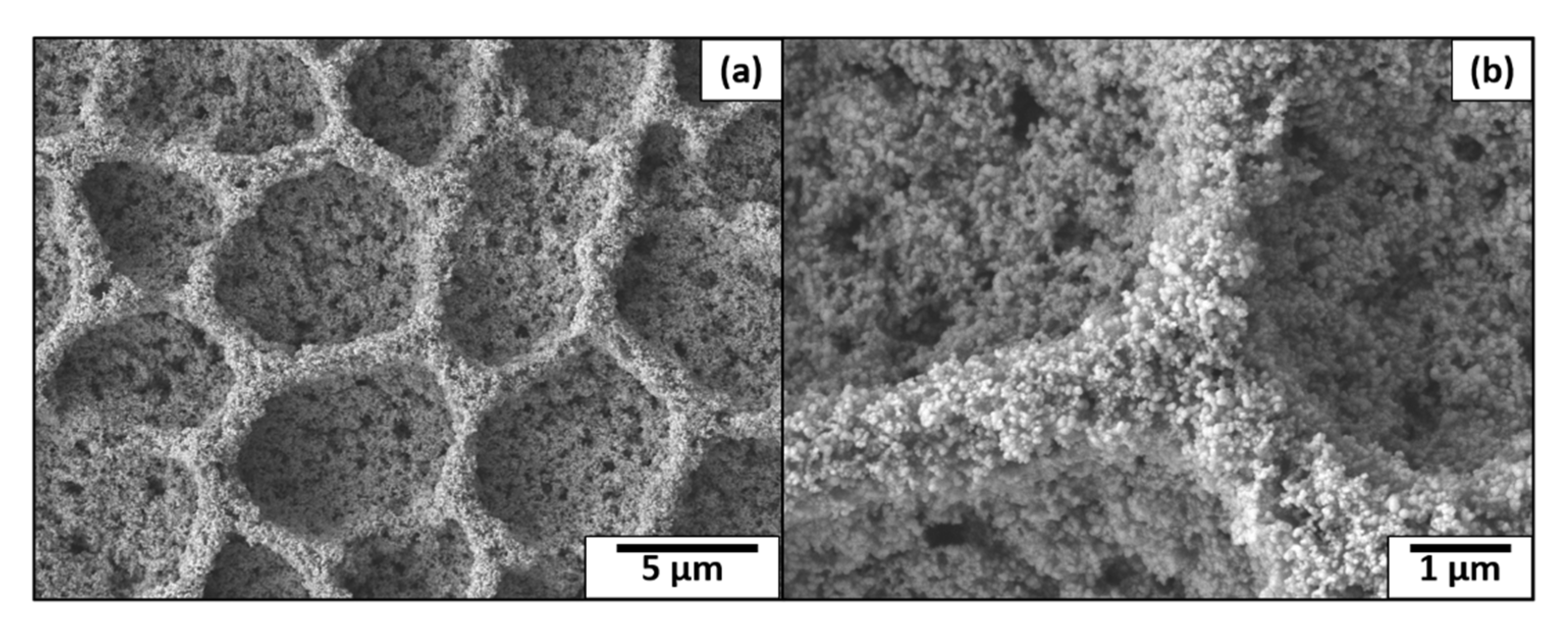 Coatings 11 00652 g002 Coatings 11 00652 g002