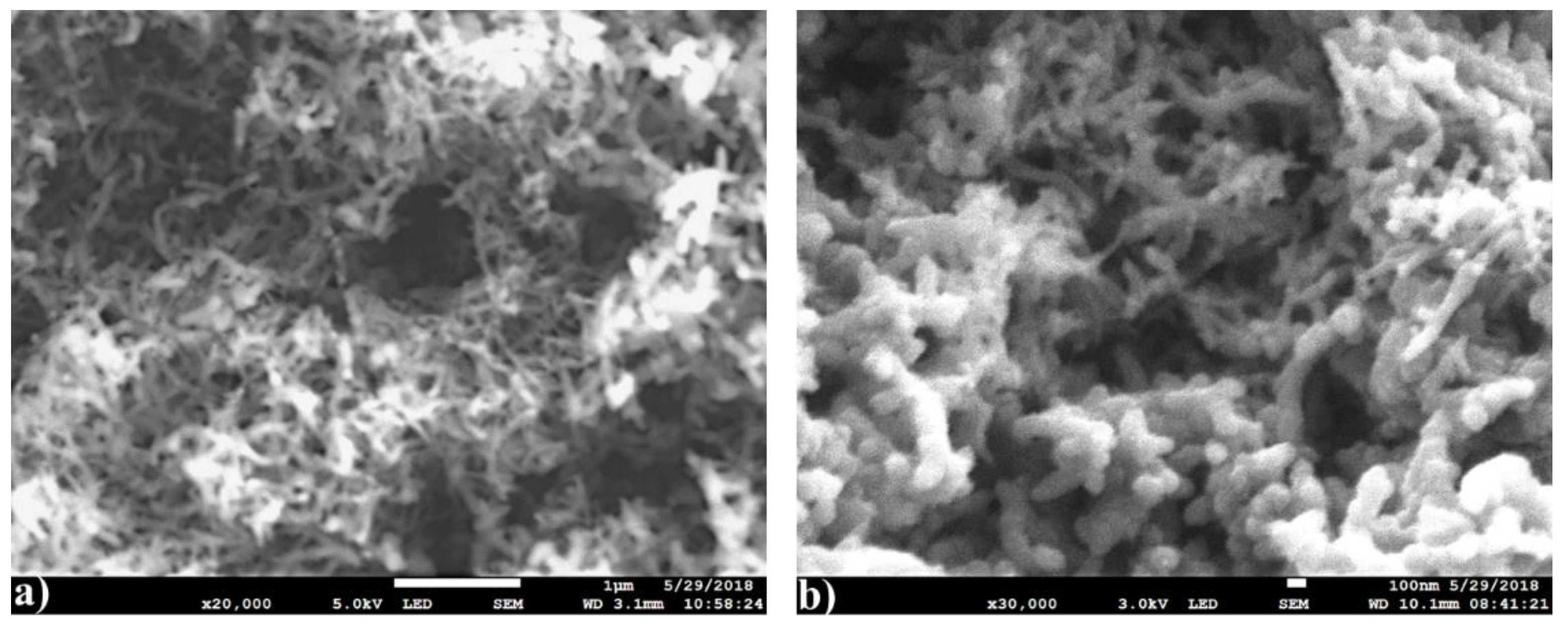 Coatings 11 00653 g007 Coatings 11 00653 g007