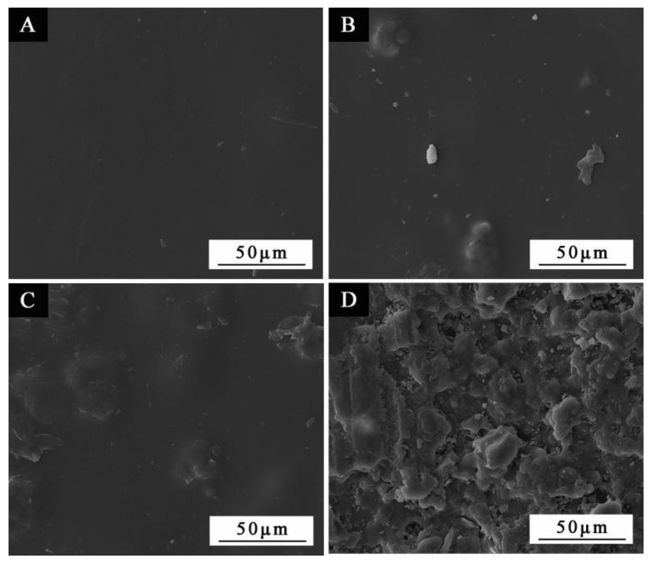 Coatings 11 00657 g005
