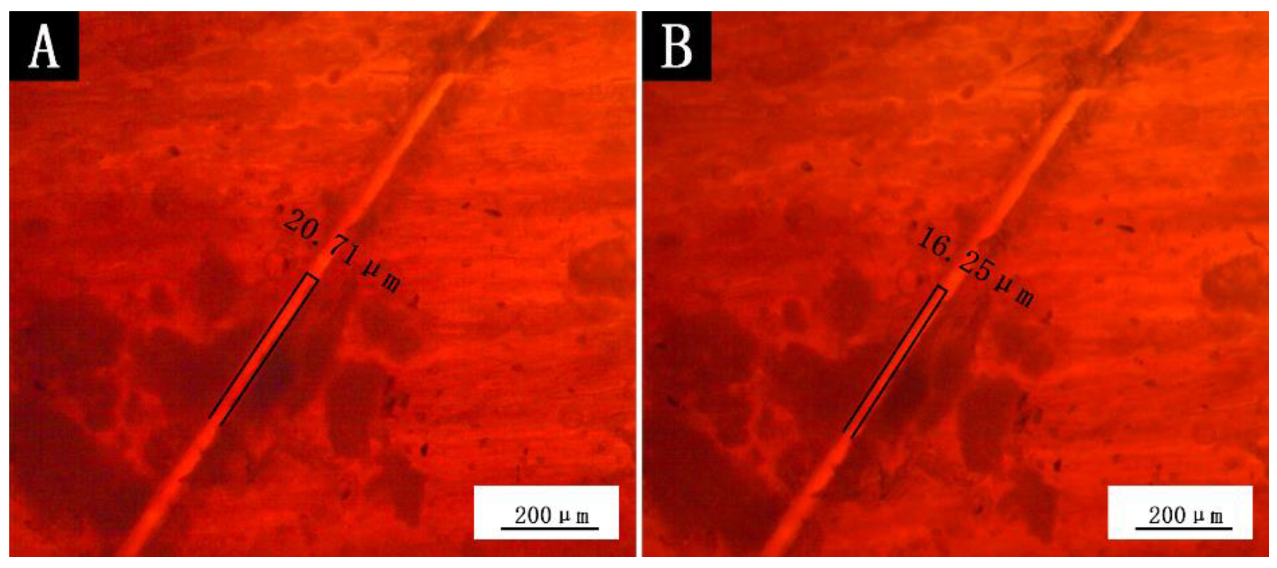 Coatings 11 00657 g006