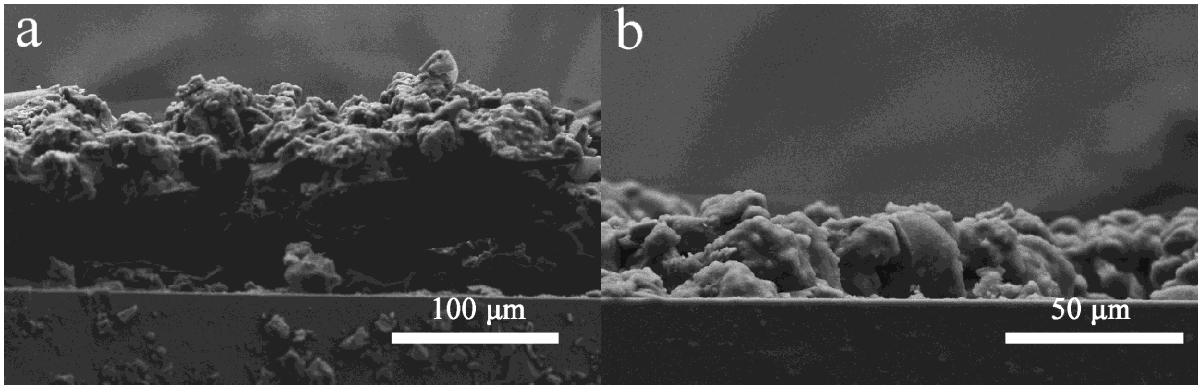 Coatings 11 00663 g007