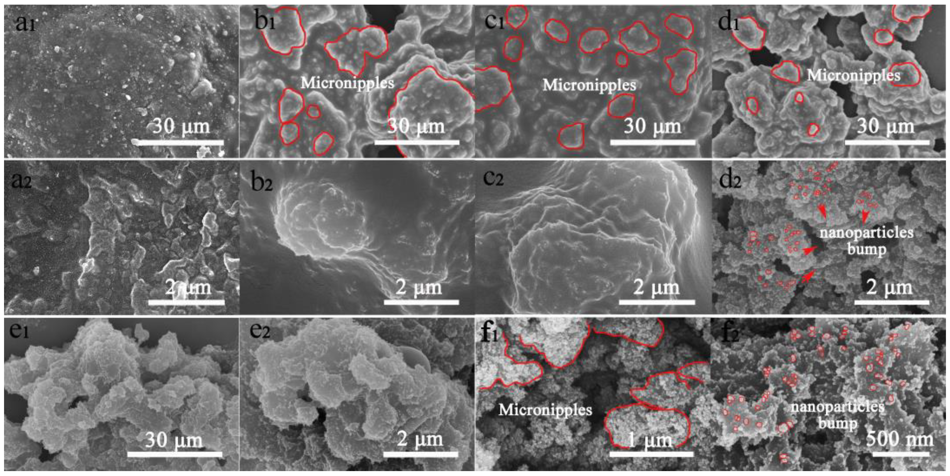 Coatings 11 00663 g008