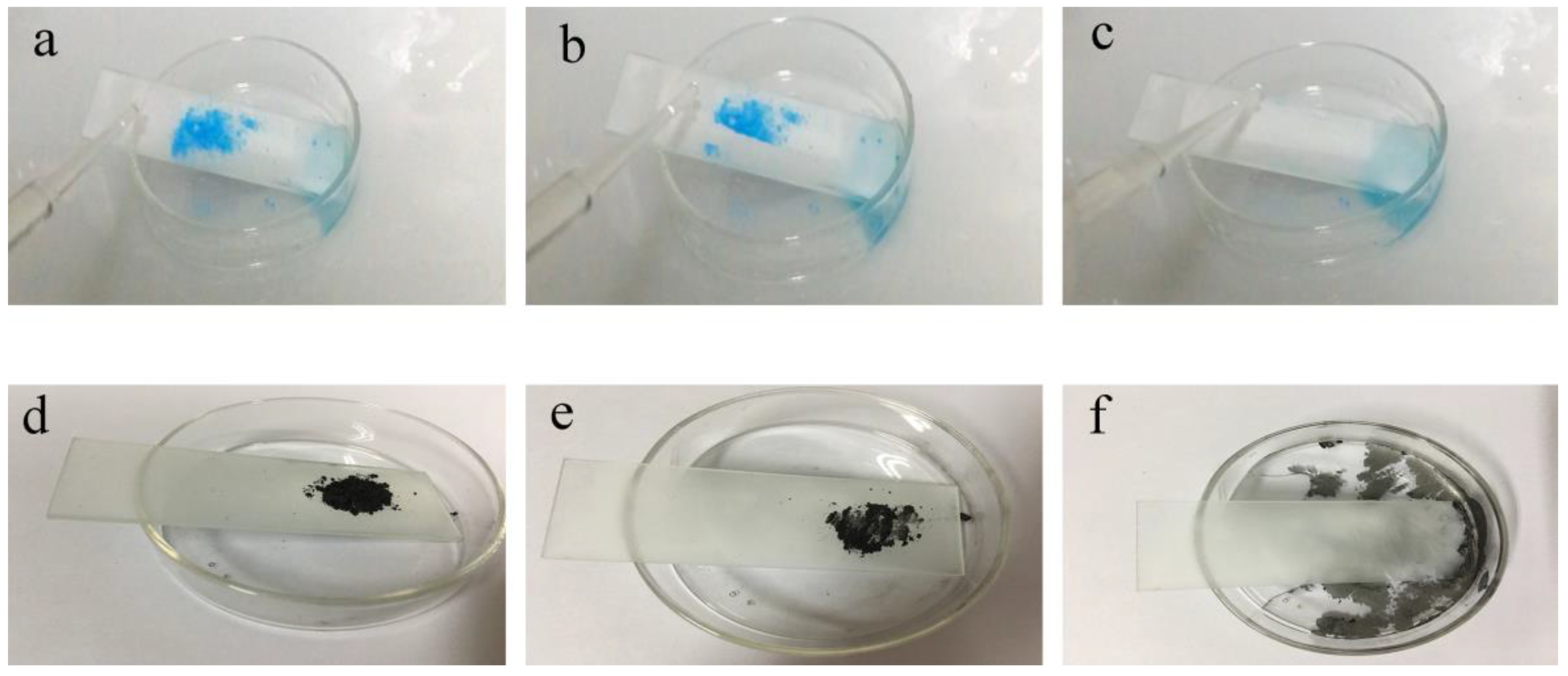 Coatings 11 00663 g012