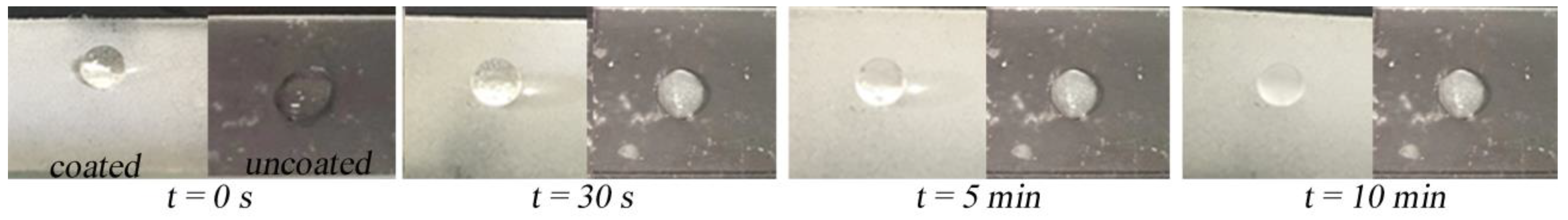 Coatings 11 00663 g013