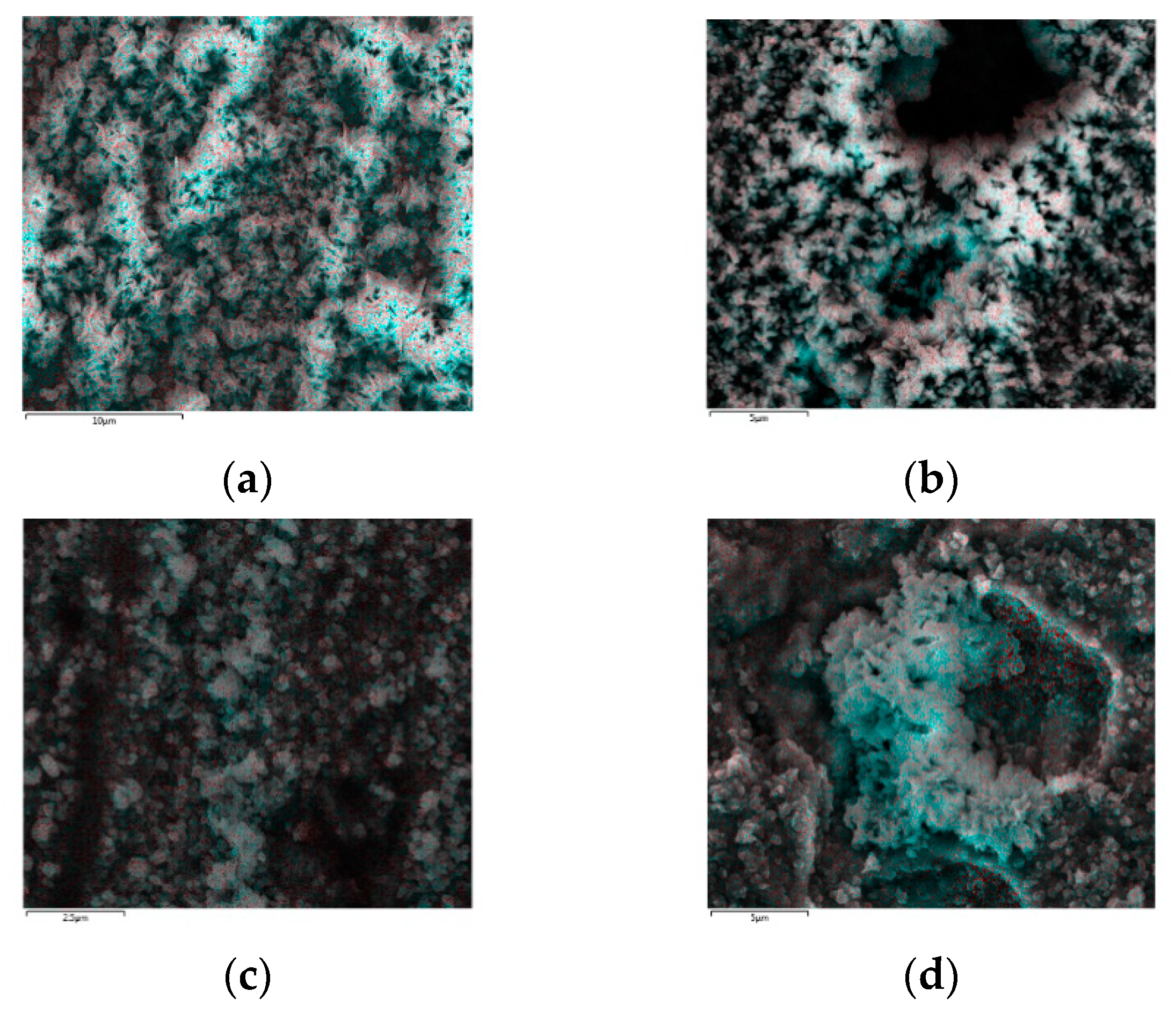 Coatings 11 00664 g003