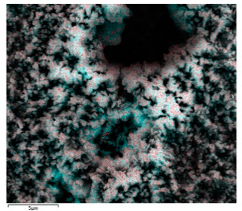 Coatings 11 00664 i002