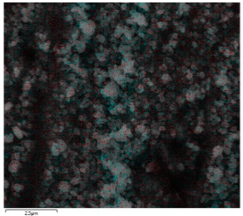 Coatings 11 00664 i003