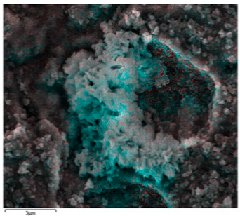 Coatings 11 00664 i004