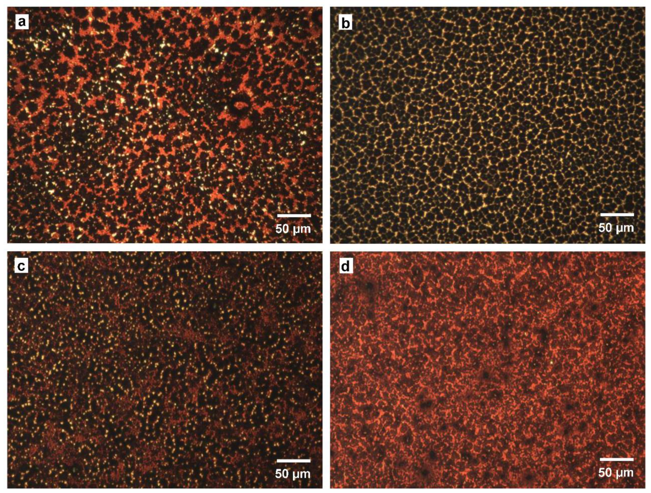 Coatings 11 00665 g004 Coatings 11 00665 g004