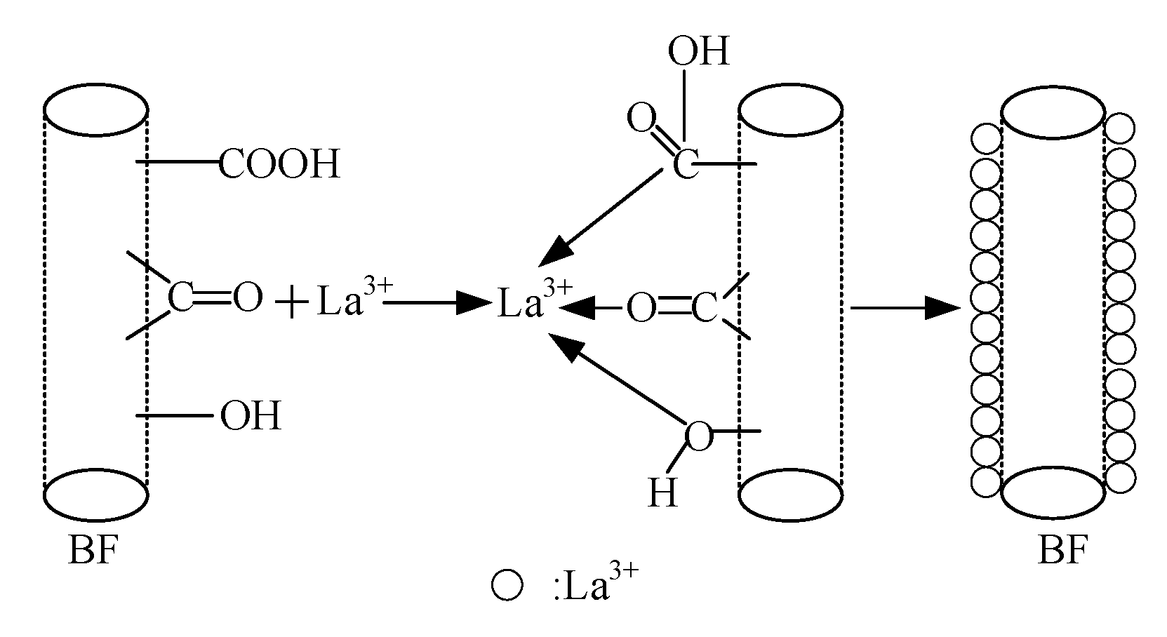 Coatings 11 00666 g012 550
