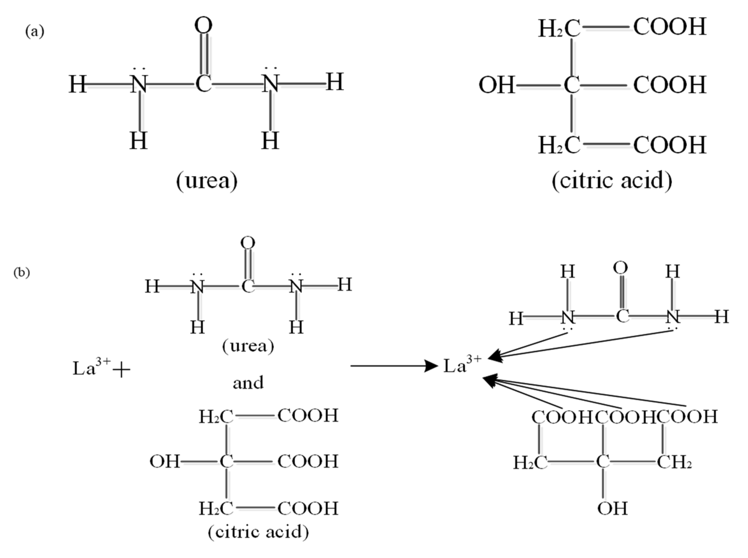 Coatings 11 00666 g013a 550