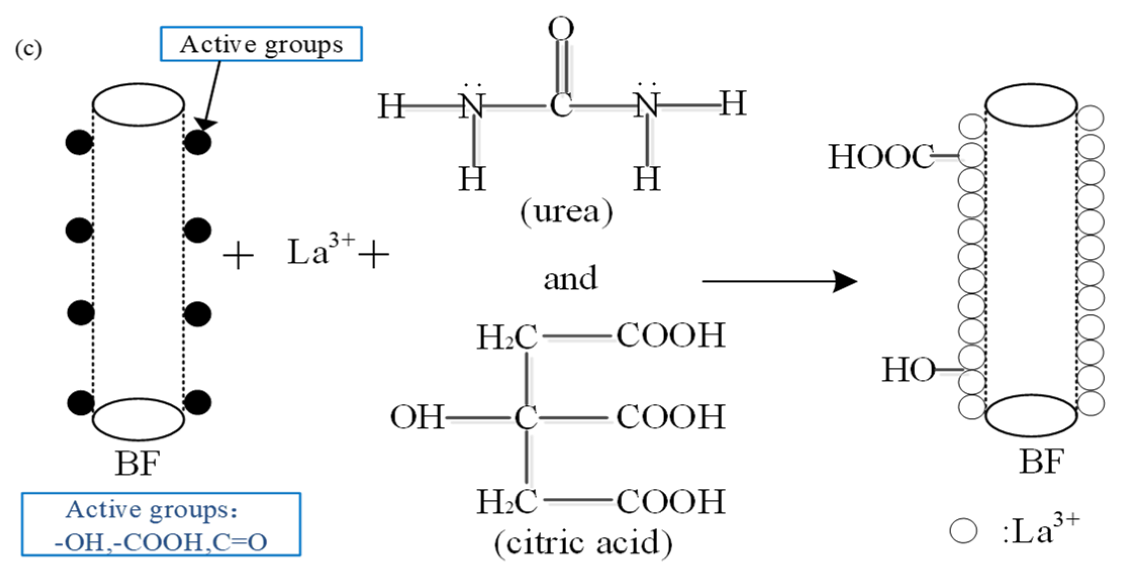 Coatings 11 00666 g013b 550