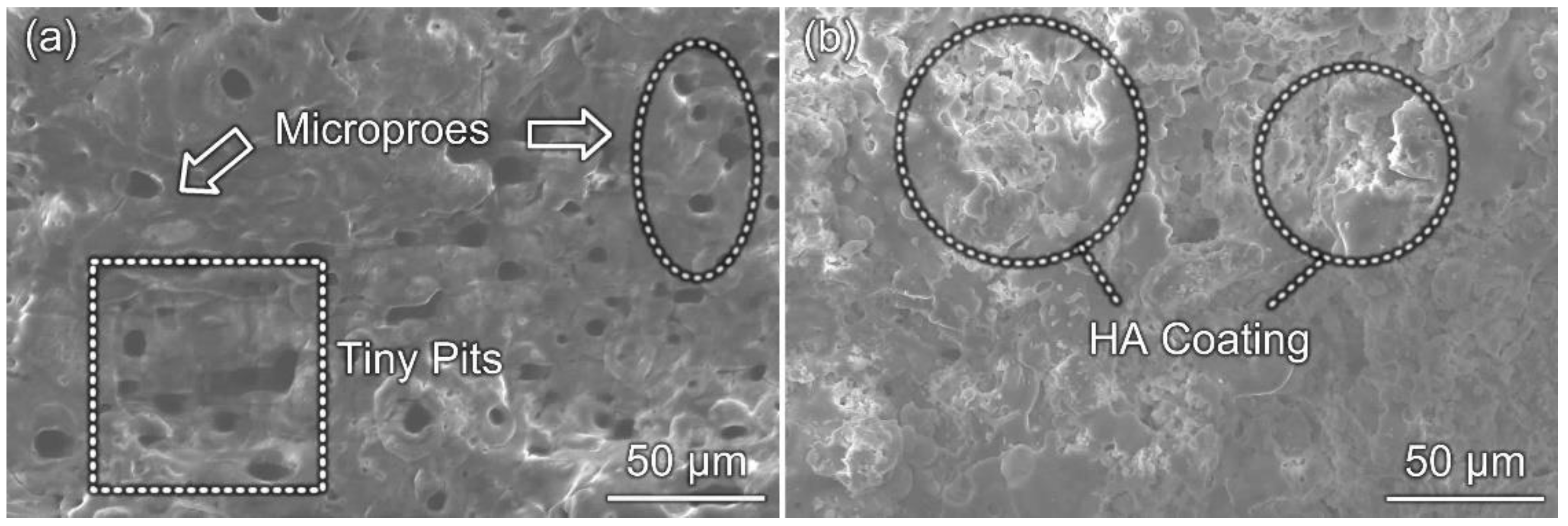 Coatings 11 00667 g002