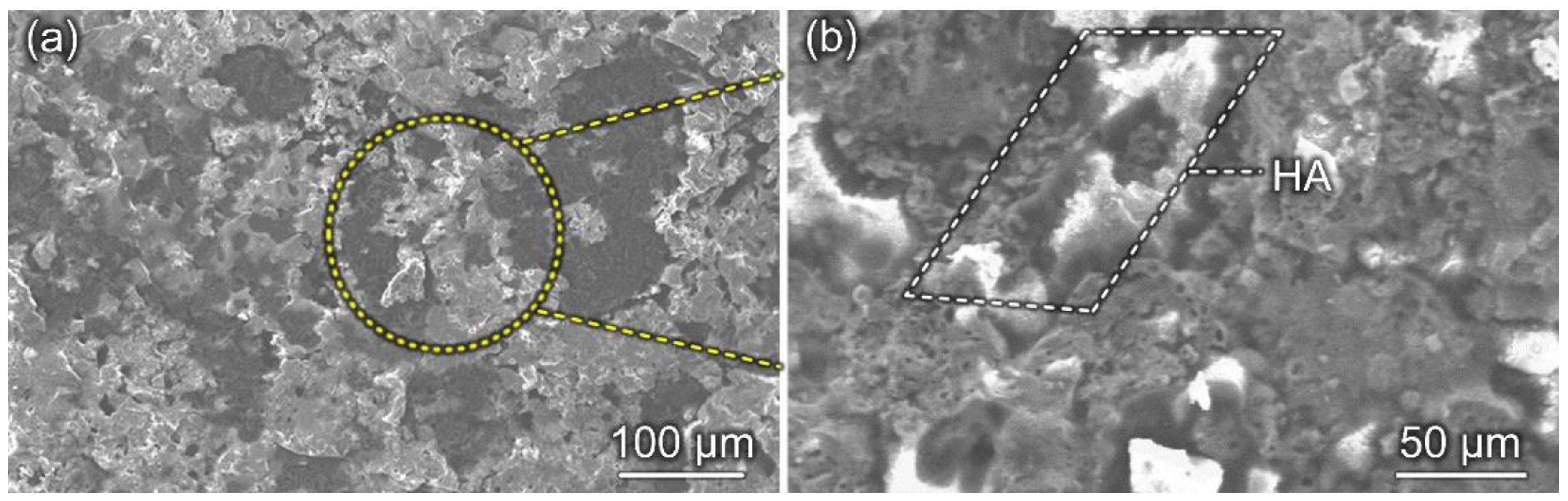 Coatings 11 00667 g004