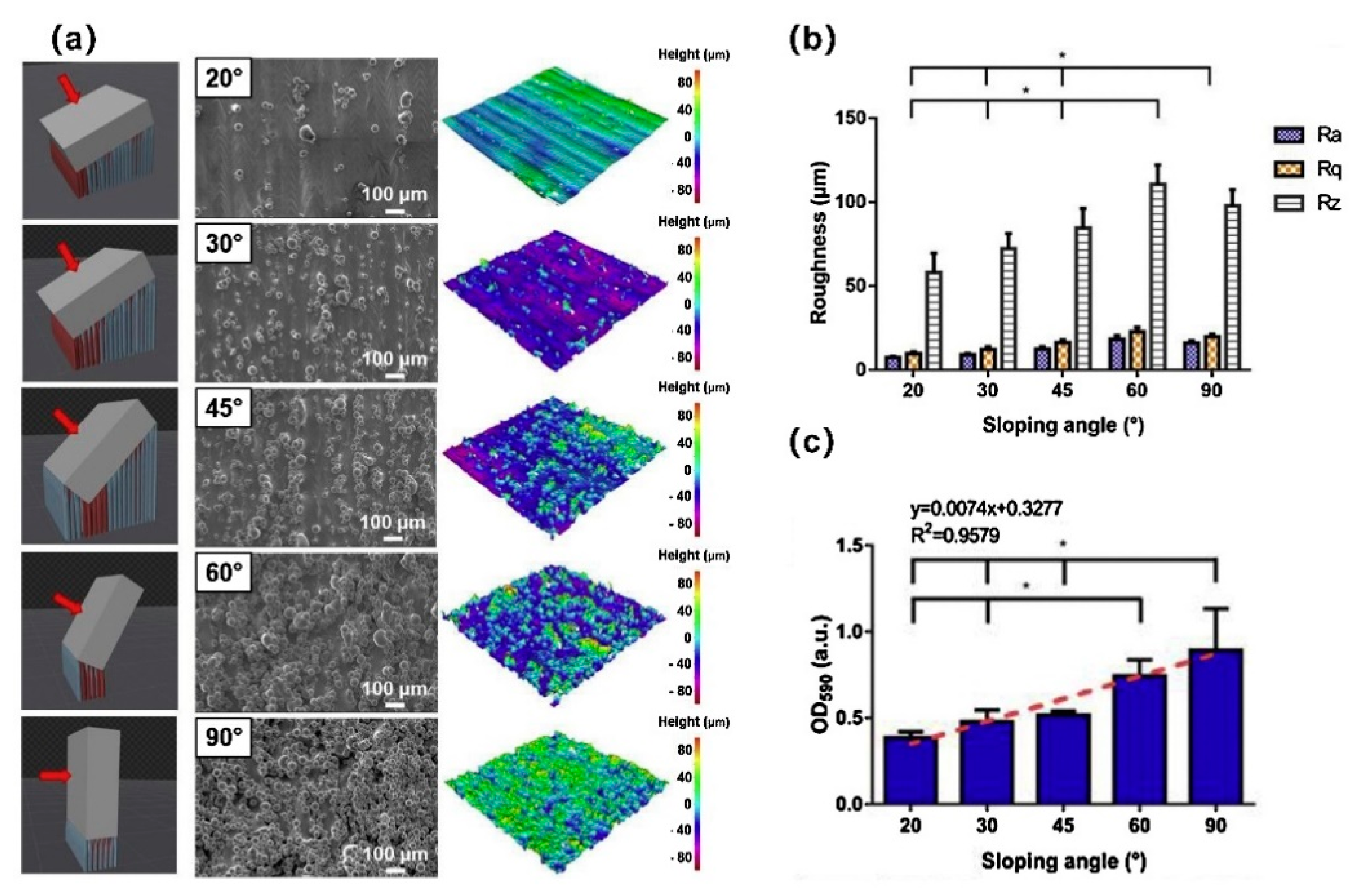 Coatings 11 00668 g002