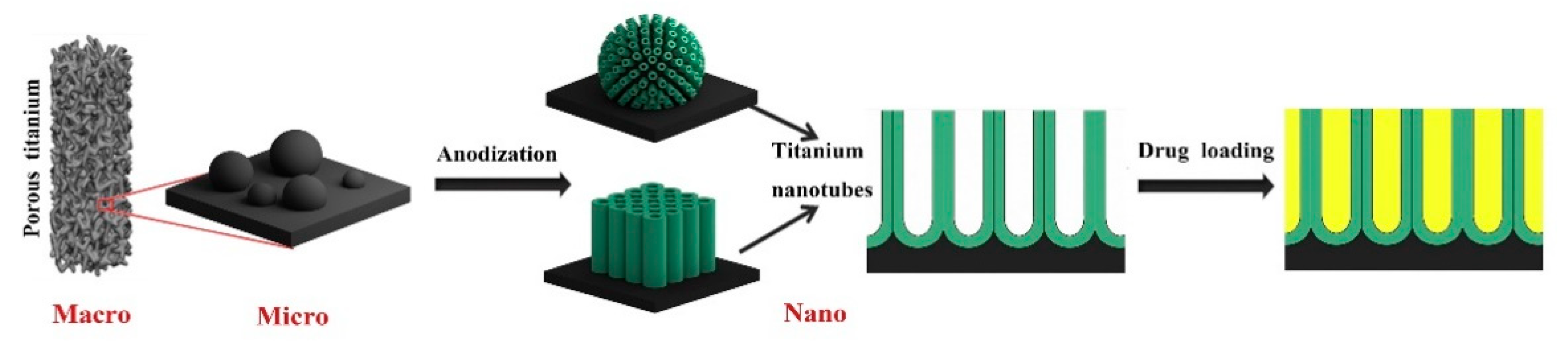 Coatings 11 00668 g005