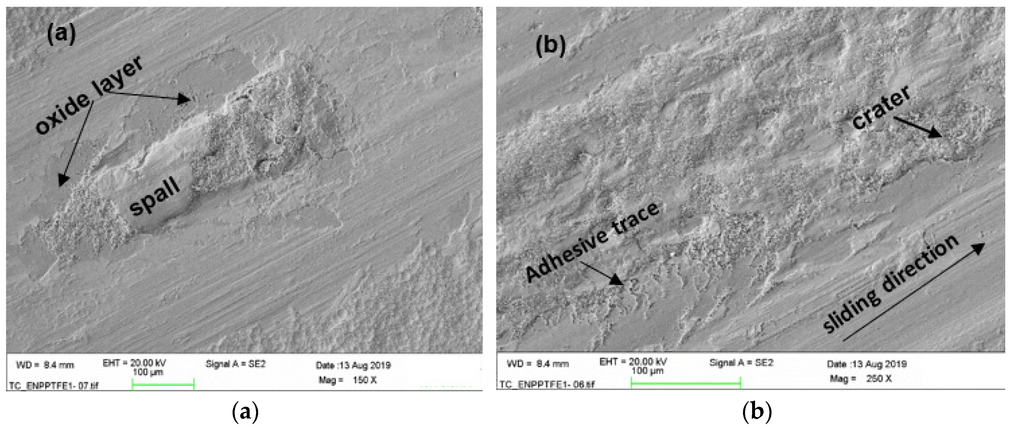Coatings 11 00670 g014 Coatings 11 00670 g014