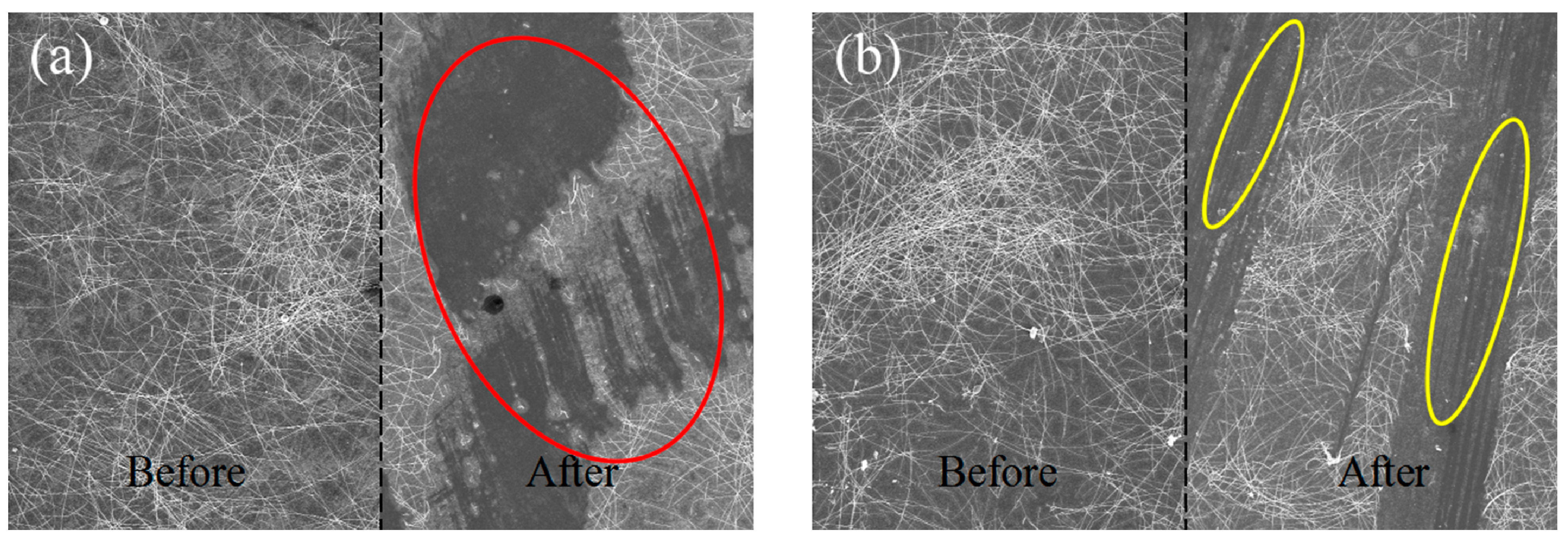 Coatings 11 00671 g008 Coatings 11 00671 g008