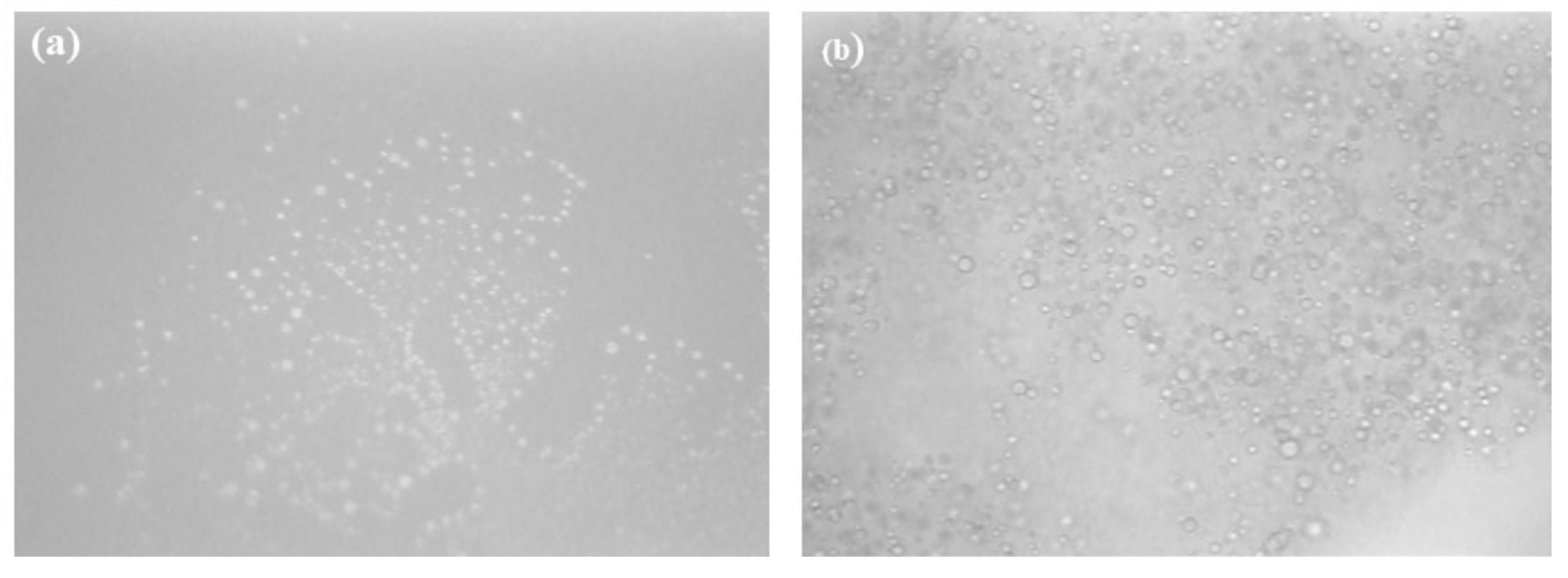 Coatings 11 00672 g003 Coatings 11 00672 g003