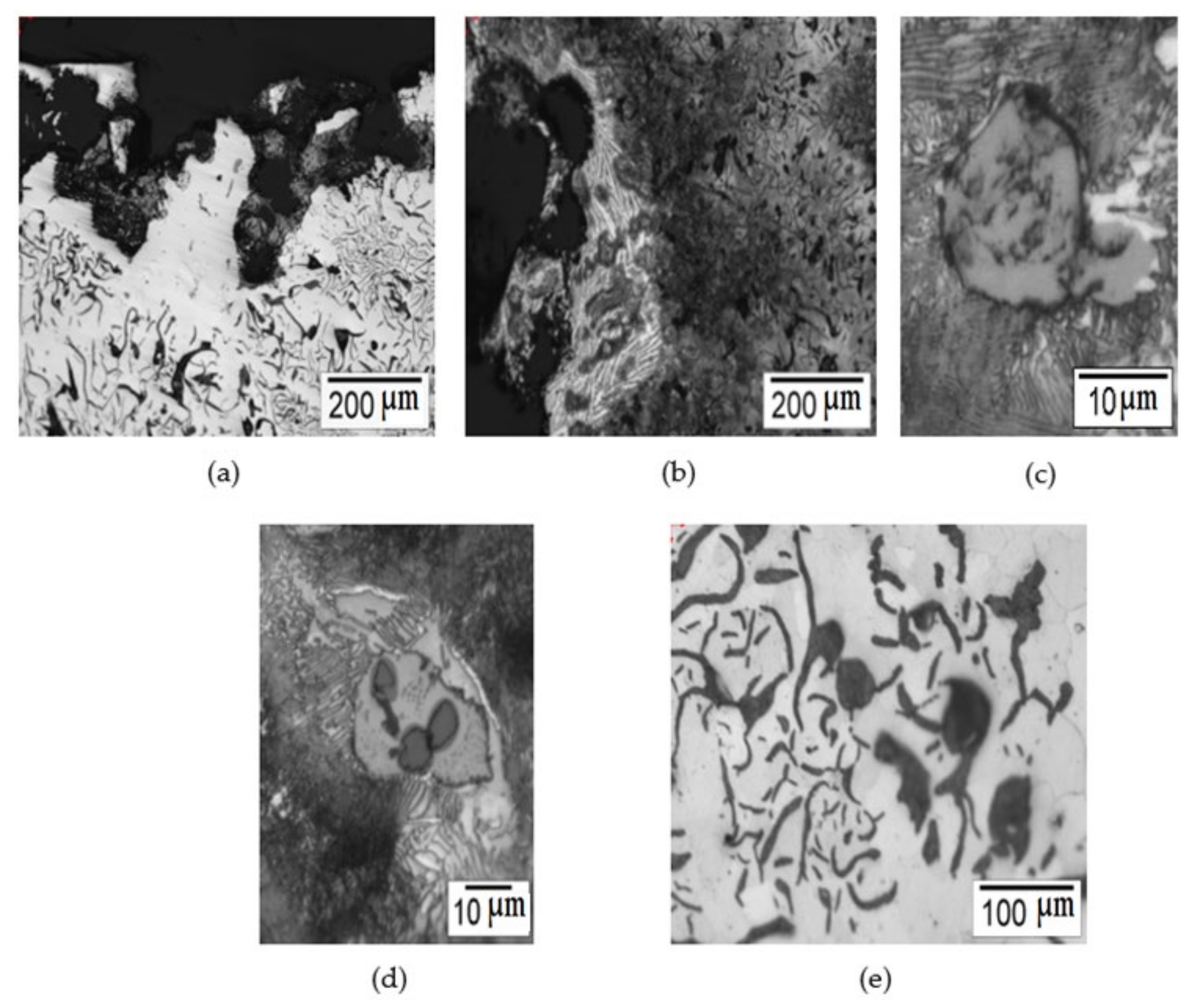 Coatings 11 00673 g005