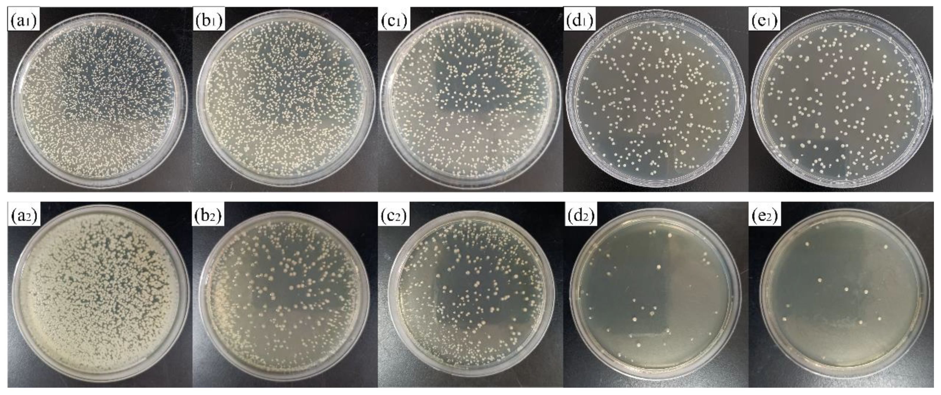 Coatings 11 00677 g010 Coatings 11 00677 g010