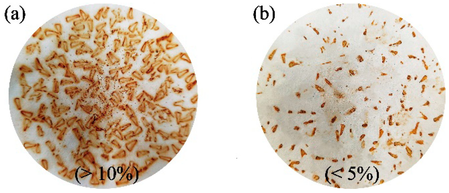 Coatings 11 00679 g010 Coatings 11 00679 g010