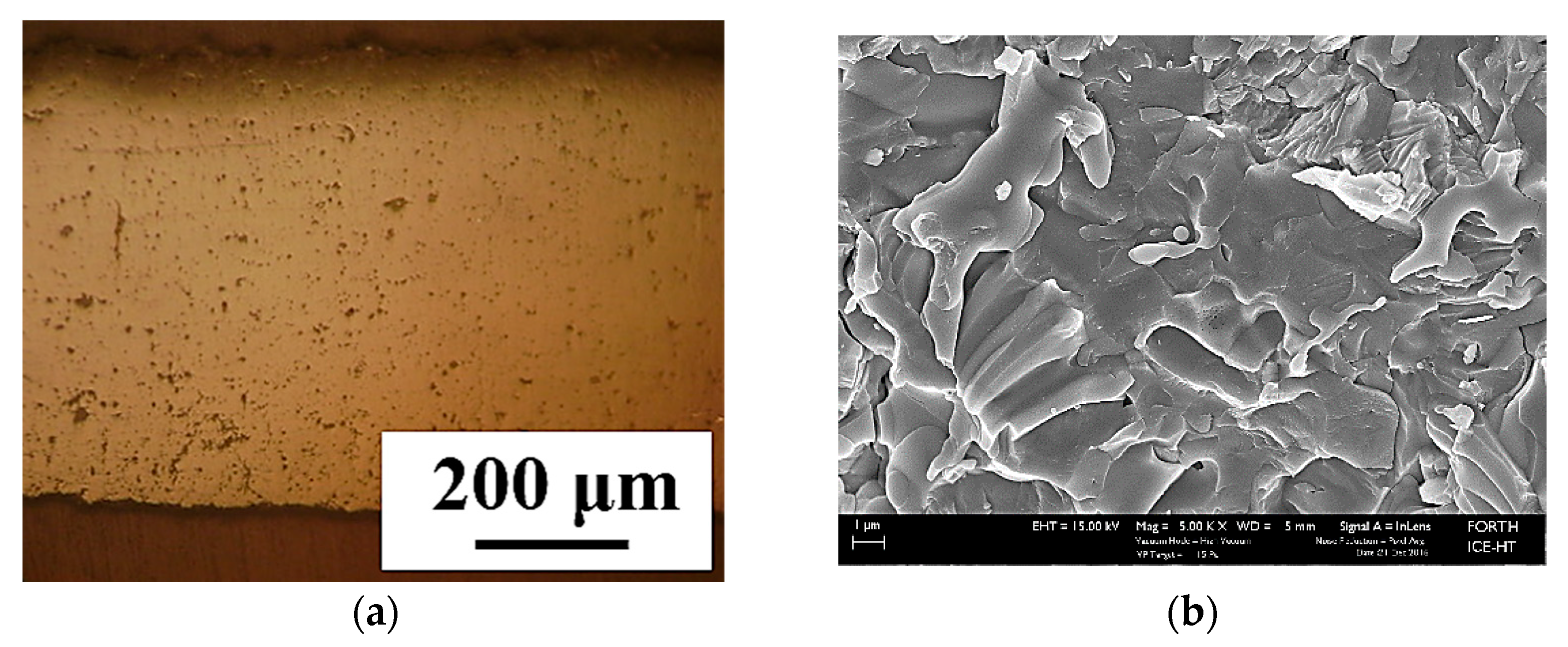 Coatings 11 00682 g003