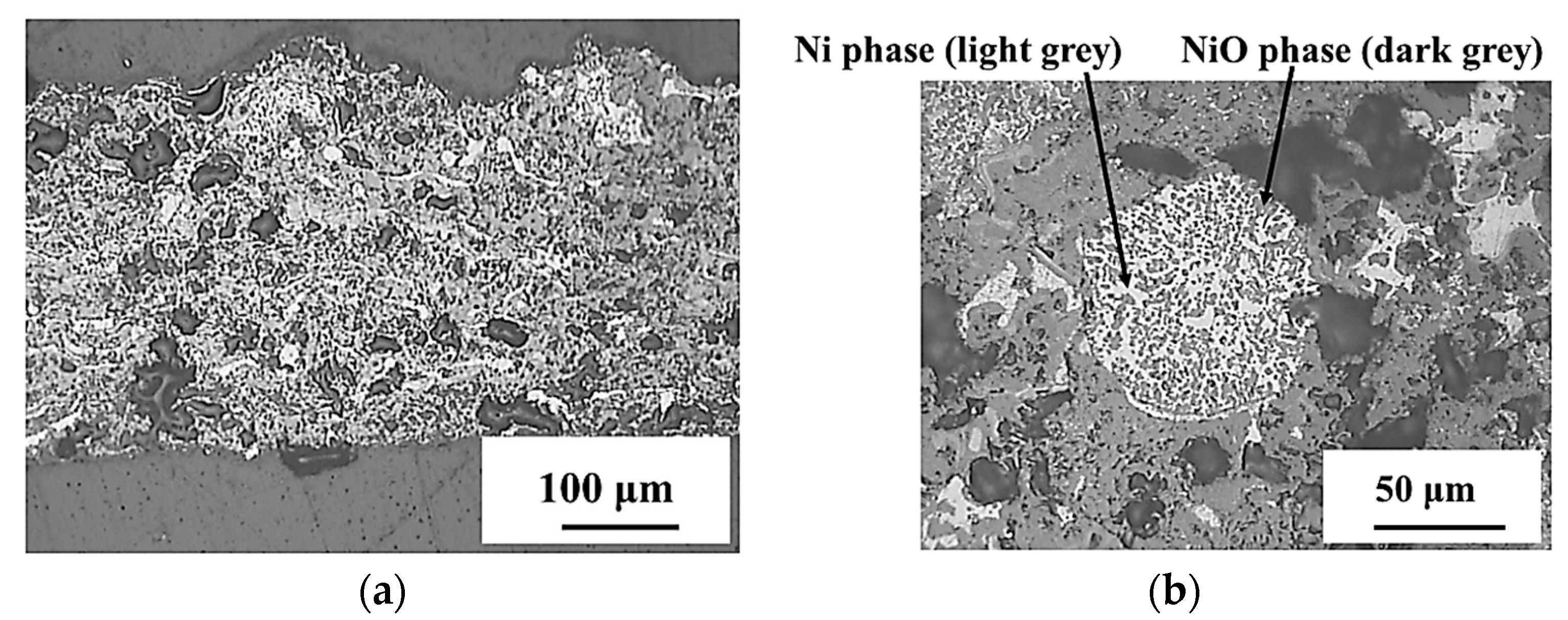 Coatings 11 00682 g005