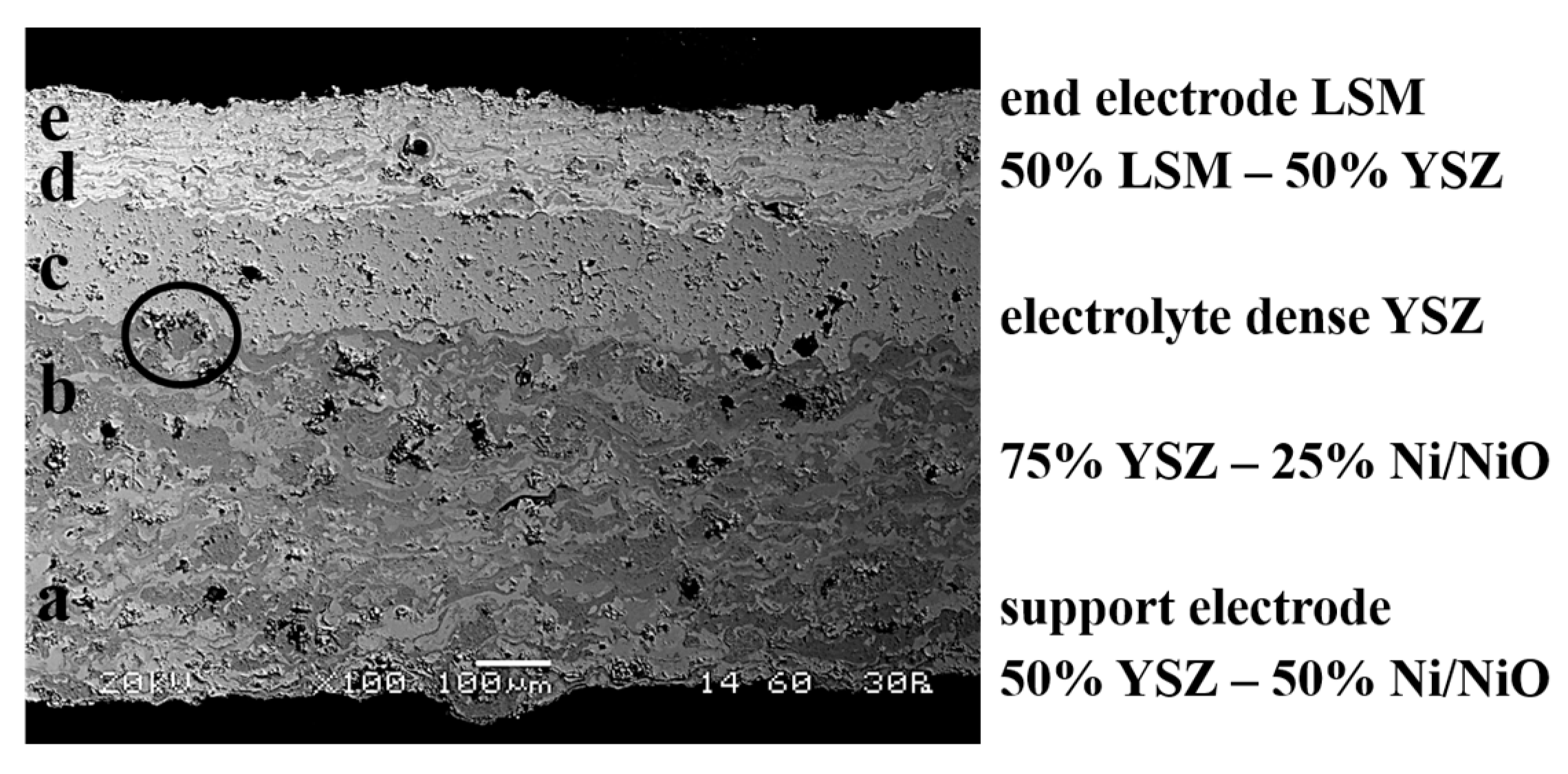 Coatings 11 00682 g008