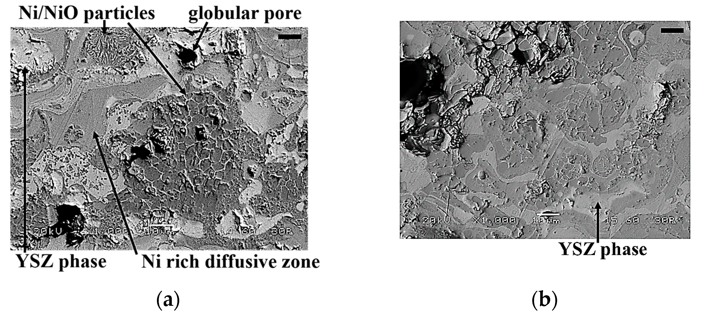 Coatings 11 00682 g009