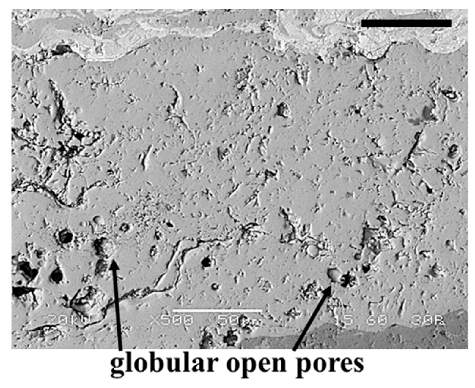 Coatings 11 00682 g010
