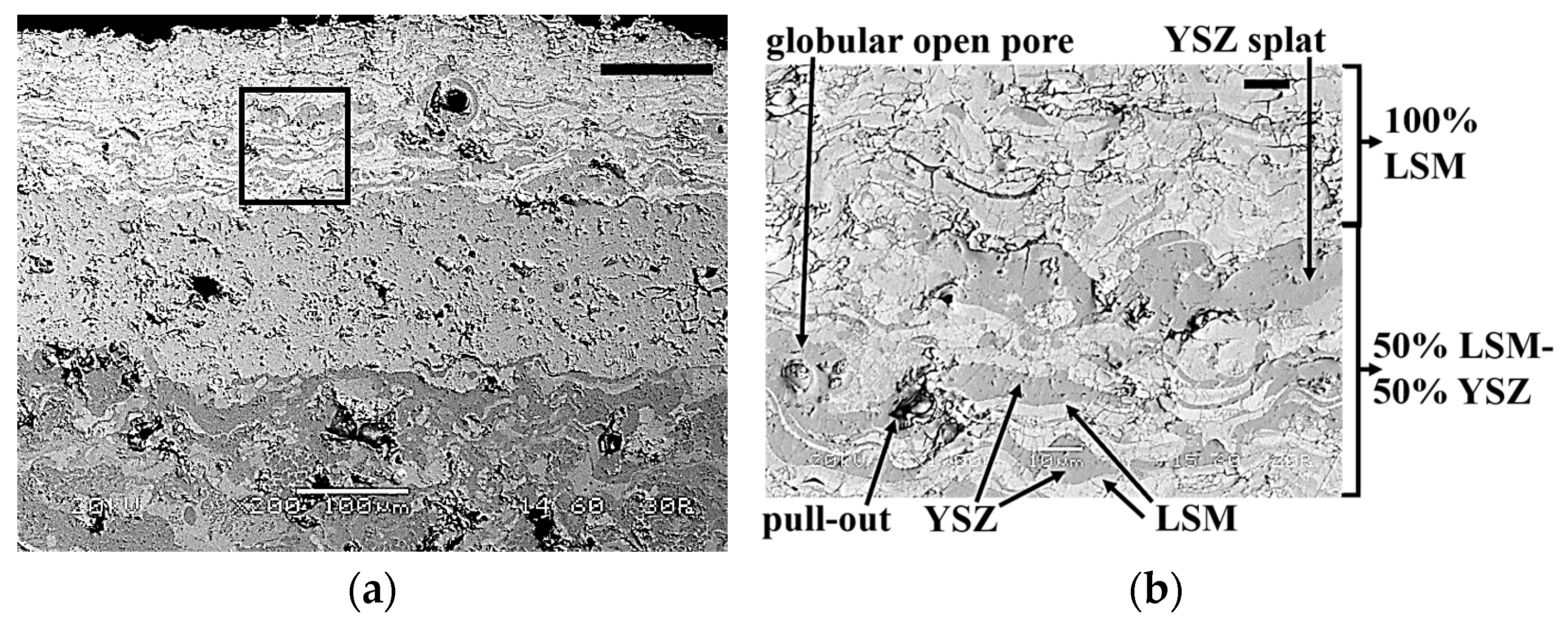 Coatings 11 00682 g011