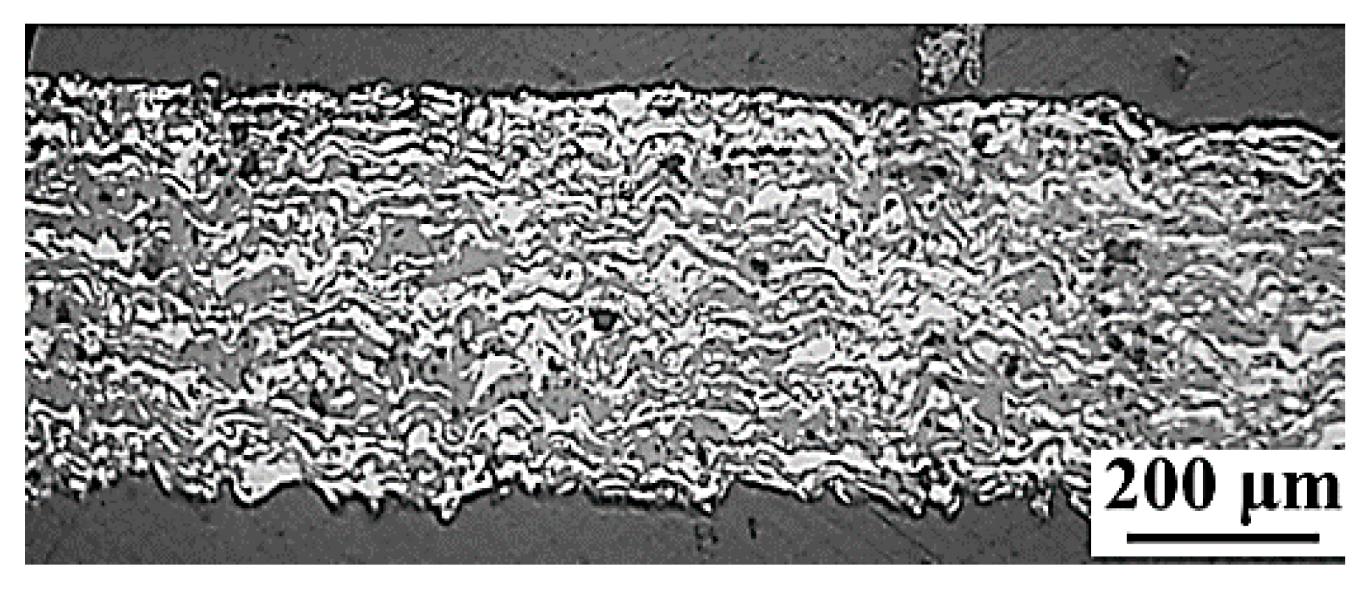 Coatings 11 00682 g013